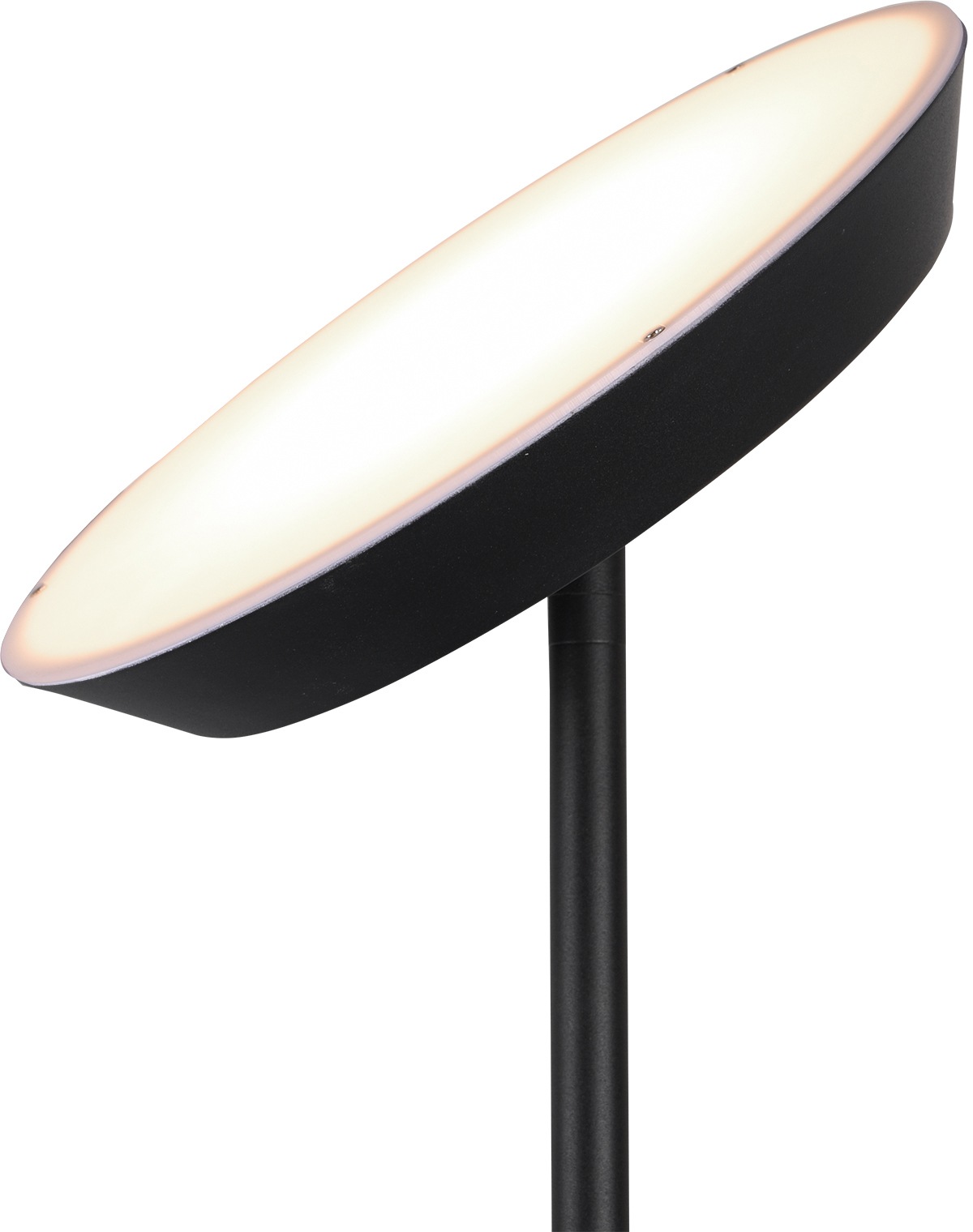 TRIO Leuchten LED Stehlampe »Haora«, 1 flammig, Leuchtmittel LED-Modul | LED fest integriert