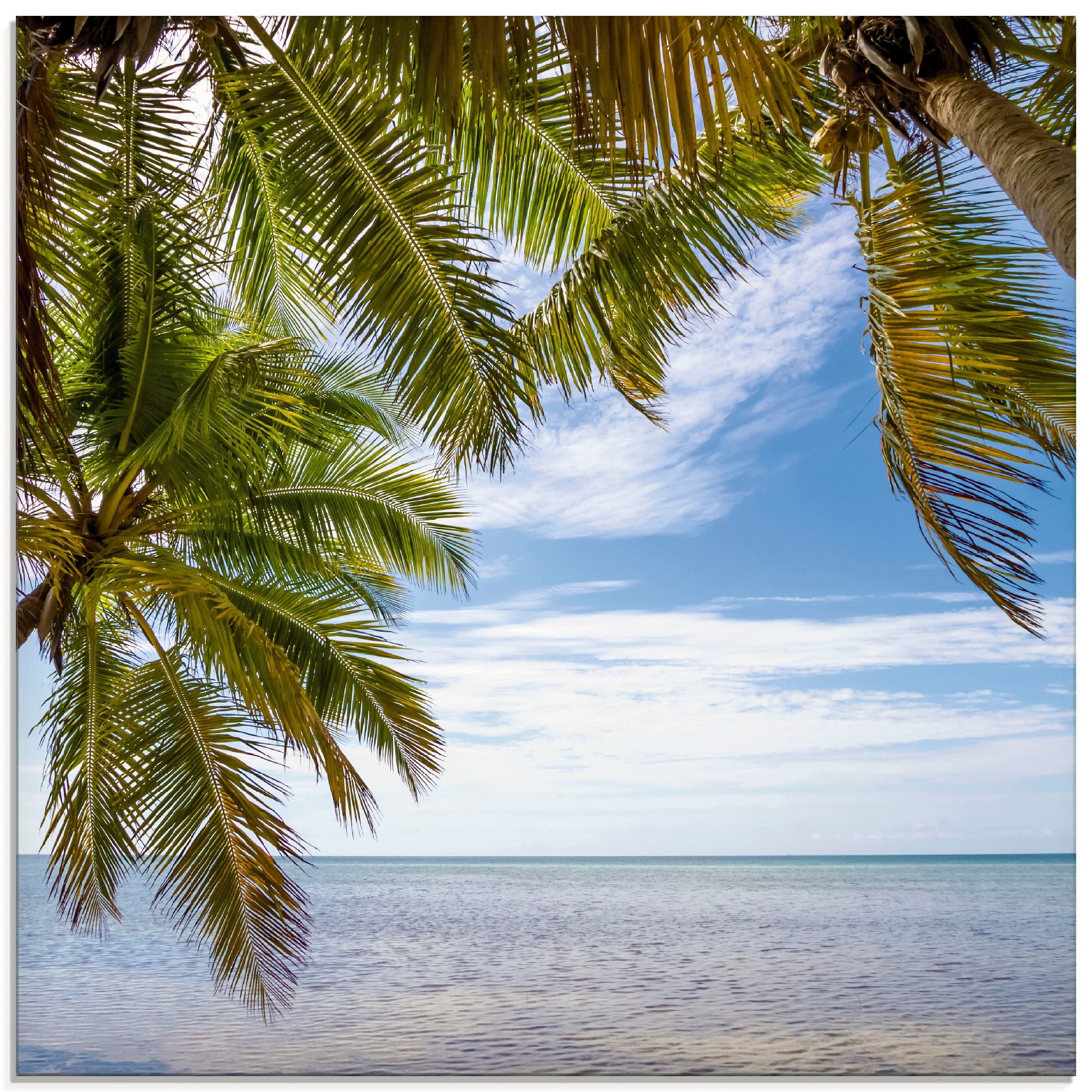 Artland Glasbild »Florida Keys Das Meer«, Bäume, (1 St.), in verschiedenen günstig online kaufen