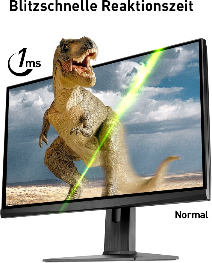 MSI Gaming-LED-Monitor »Optix MAG251RX«, 62,2 cm/24,5 Zoll, 1920 x 1080 px, Full HD, 1 ms Reaktionszeit, 240 Hz, 3 Jahre Herstellergarantie