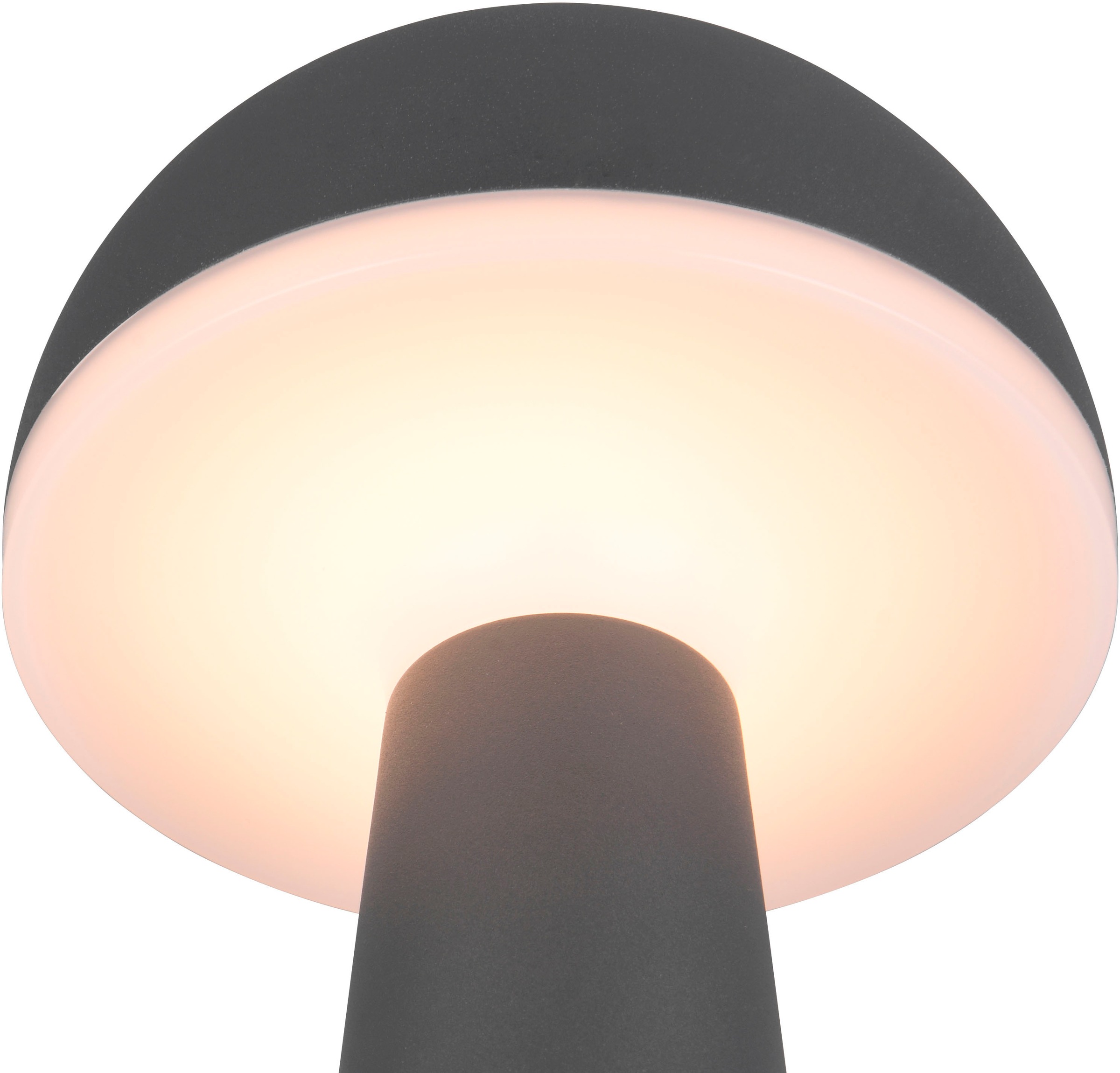 REALITY Leuchten LED Außen-Tischleuchte »FUNGO«, 1 flammig, Leuchtmittel LED-Board | LED fest integriert, Outdoor Akku Tischlampe inkl Ladestation USB-C, Lichtfarbe einstellbar