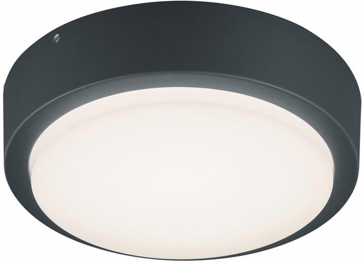 TRIO Leuchten LED Außen-Wandleuchte »BREG«, 1 flammig, Leuchtmittel LED-Boa günstig online kaufen