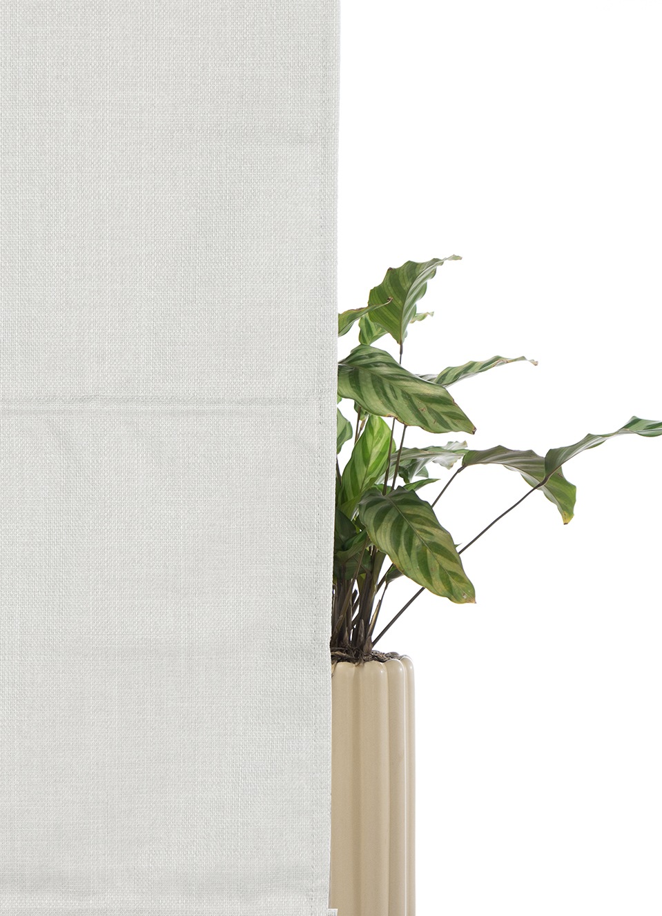 my home Rollo »RIOLA«, verdunkelnd, Blendschutz-Sichtschutz-Verdunkelung, ohne Bohren, freihängend, Faltrollo in trendiger Leinenoptik NEUHEIT!