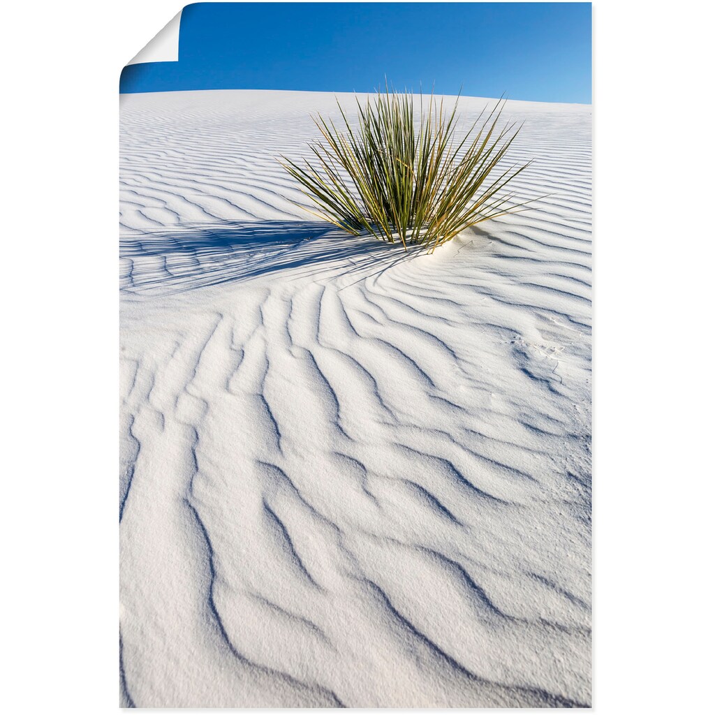 Artland Wandbild »Dünen White Sands«, Wüstenbilder, (1 St.), in vielen Größen & Produktarten - Alubild / Outdoorbild für den Außenbereich, Leinwandbild, Poster, Wandaufkleber / Wandtattoo auch für Badezimmer geeignet