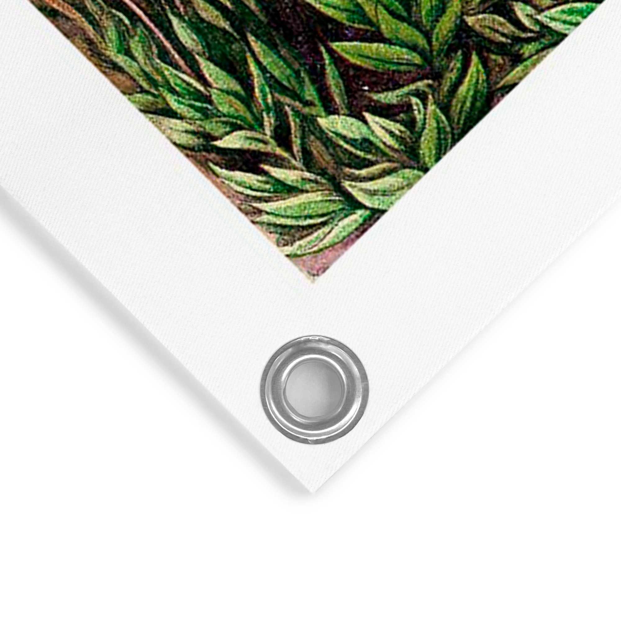 Reinders! Poster »Sea Flora«