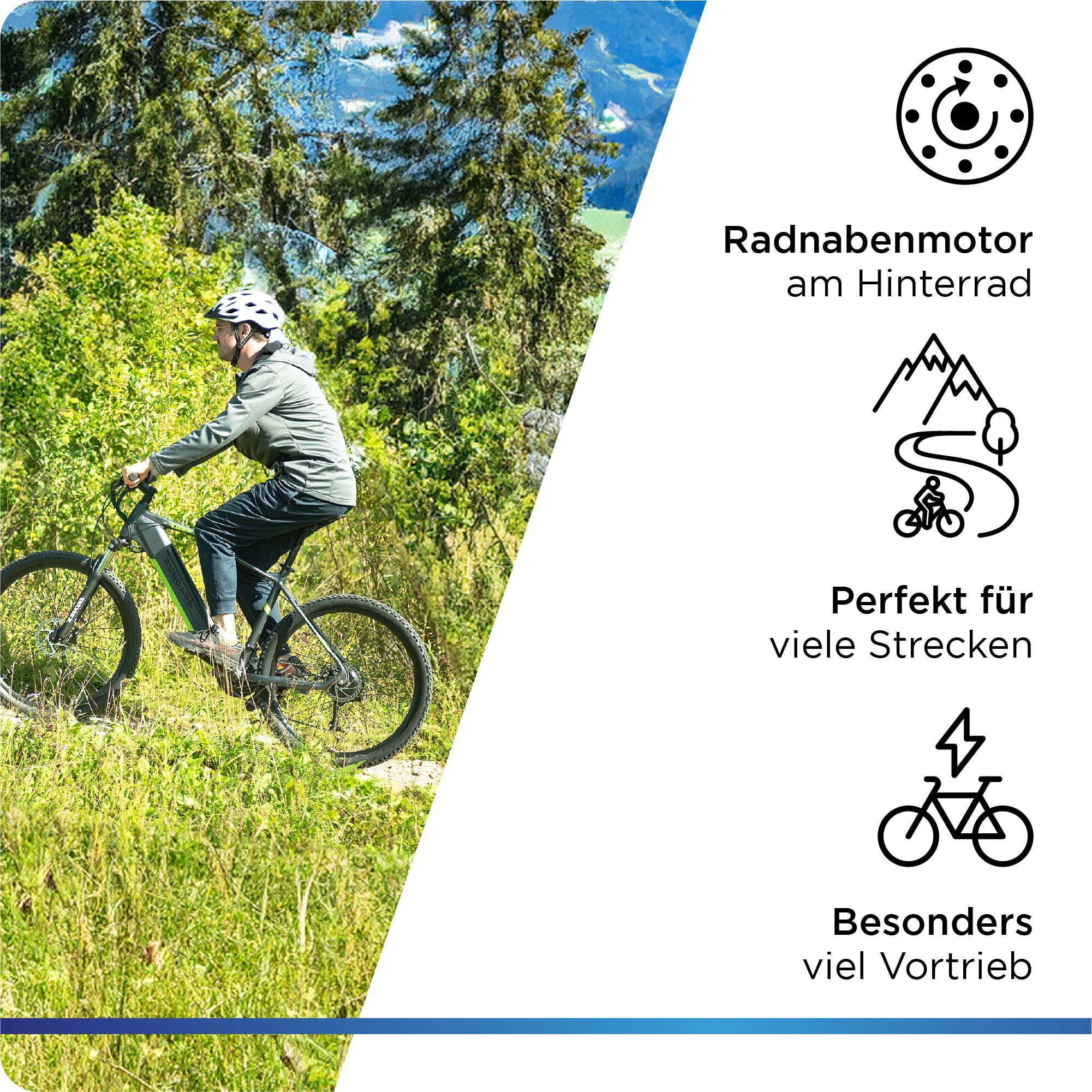 Zündapp E-Bike »Z808«, 24 Gang, Heckmotor 250 W, Pedelec, Elektrofahrrad für Damen u. Herren, MTB