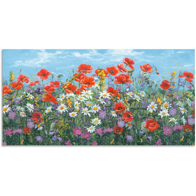 Artland Wandbild »Almwiese«, Blumenwiese, (1 St.), als Alubild, Leinwandbild,  Wandaufkleber oder Poster in versch. Größen online bestellen