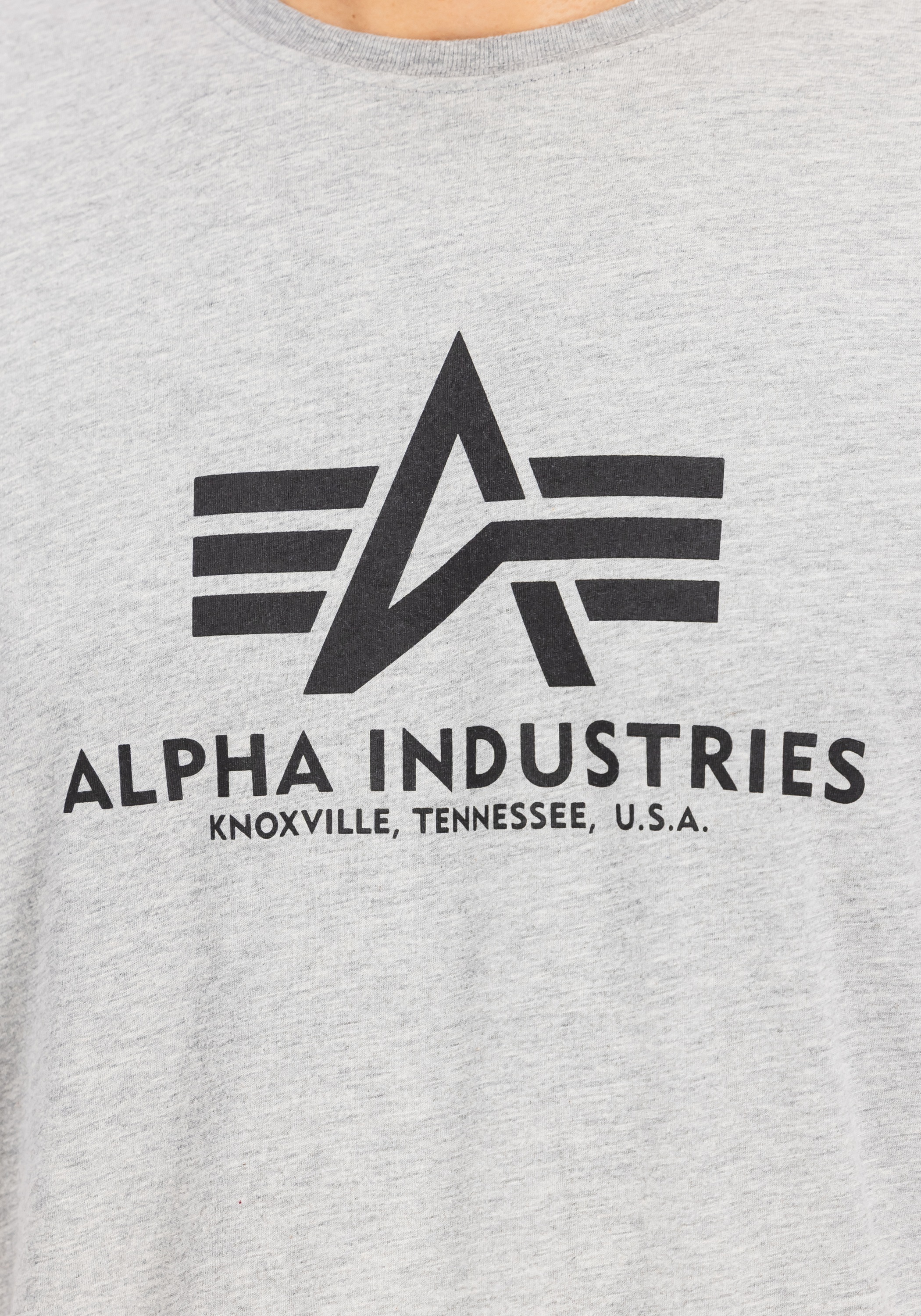 Alpha Industries T-Shirt »Basic T-Shirt BL«