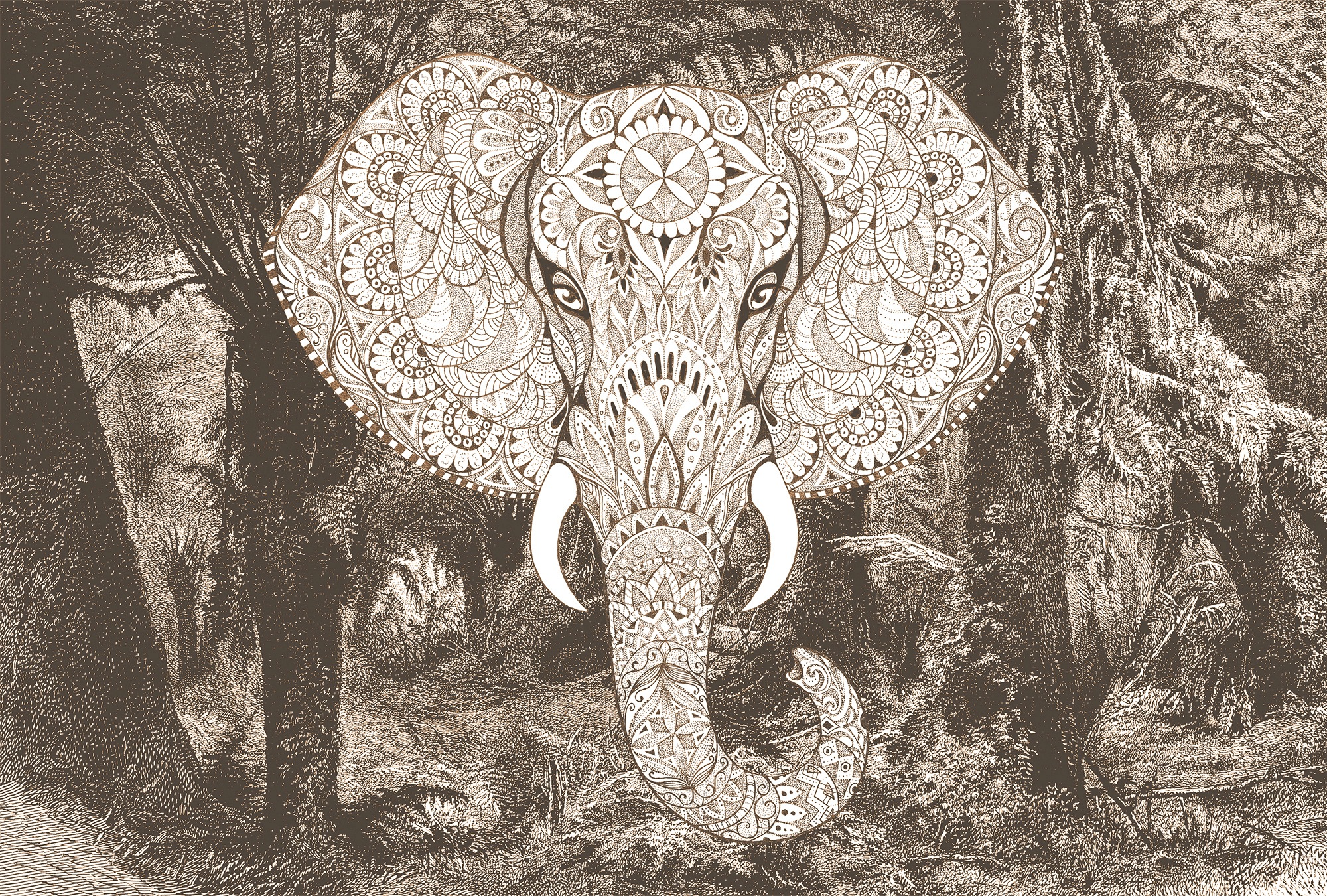 Architects Paper Fototapete »Atelier 47 Elephant Head 1« orientalisch glatt günstig online kaufen