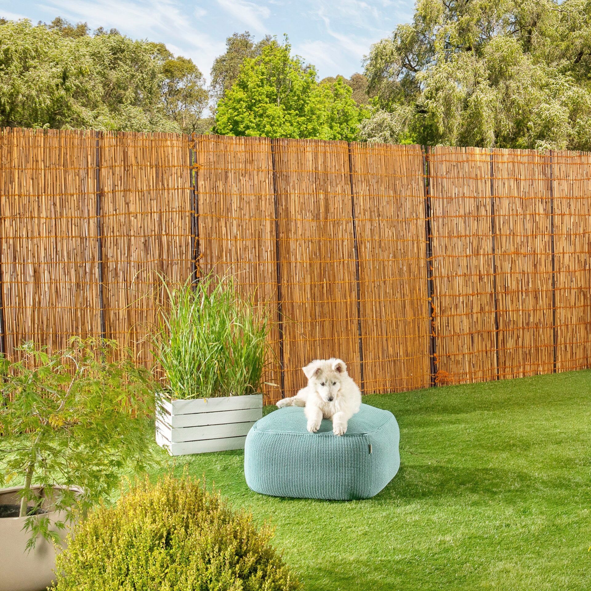 Windhager Sichtschutzzaunmatten naturbelassenes Schilf mit Bambus-Verstärkung, L: 1,8 m