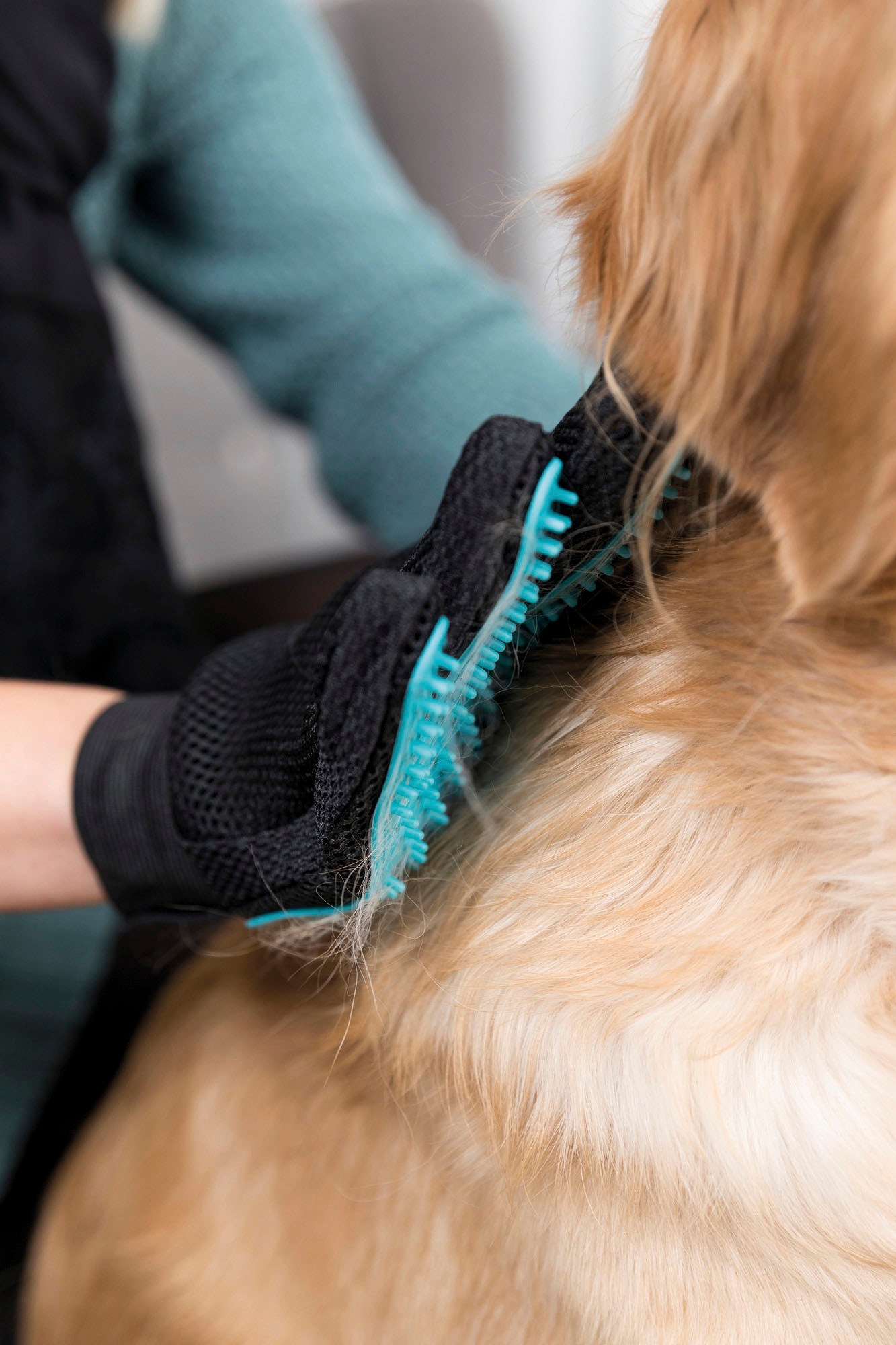 2. Bild von TRIXIE Fellpflegehandschuh, inklusive Carding-Striegel