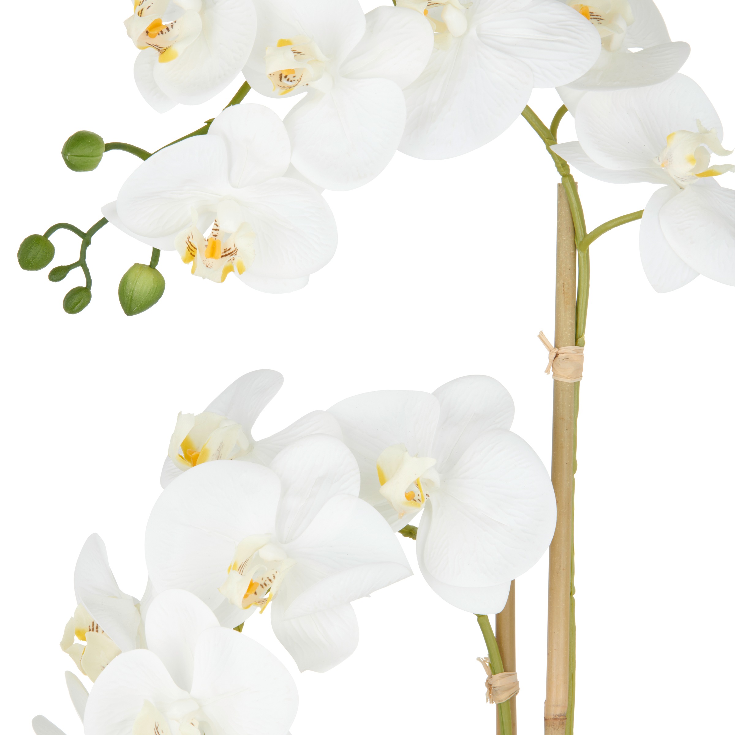 Creativ green Kunstorchidee »Orchidee Phalaenopsis«, im Design-Topf günstig online kaufen