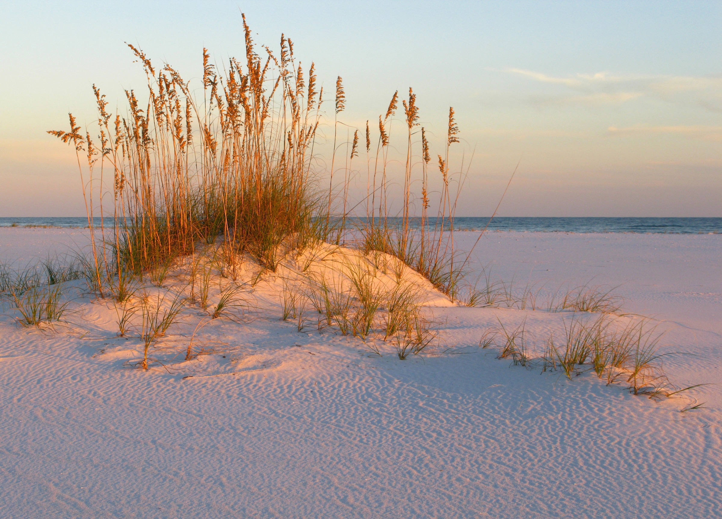 Papermoon Fototapete »DÜNEN- MEER SEE KÜSTE NORDSEE OSTSEE STRAND SYLT GRAS günstig online kaufen