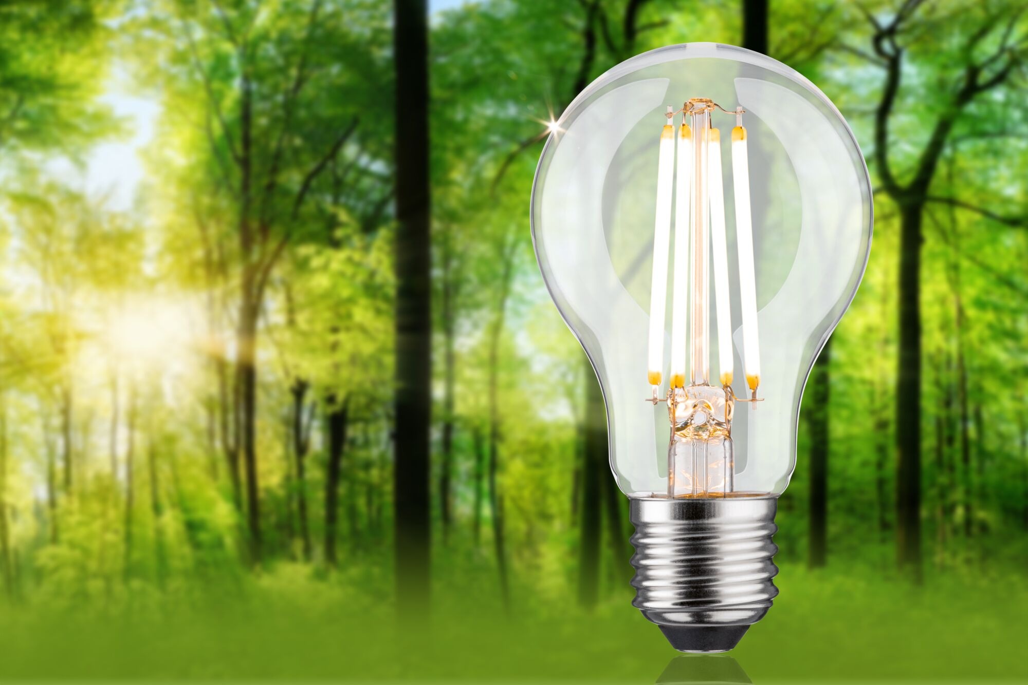 Paulmann LED-Leuchtmittel »Eco-Line Filament 230V LED Birne E27 806lm 4,3W günstig online kaufen