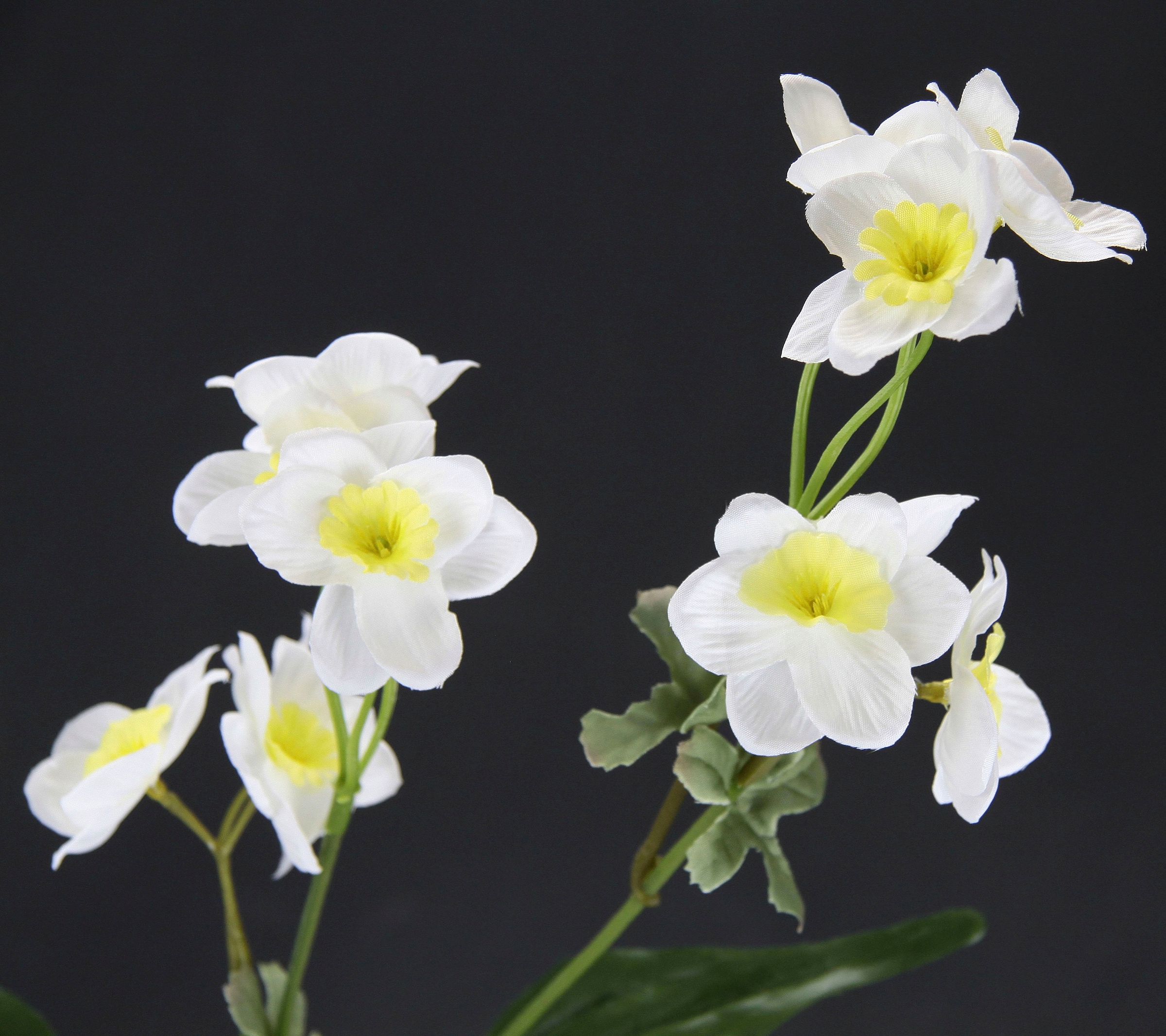 I.GE.A. Kunstblume »Narzissenzweig«, 5er Set Narzisse künstliche Blume Ostern Seidenblume Frühjahrsdeko