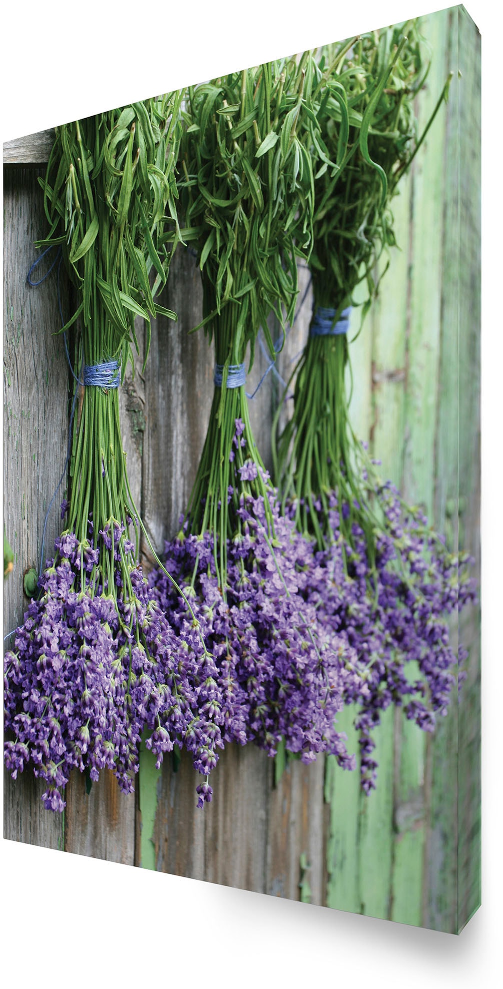 Art for the home Leinwandbild »Outdoor Lavendel 50x70cm«, (1 St.)