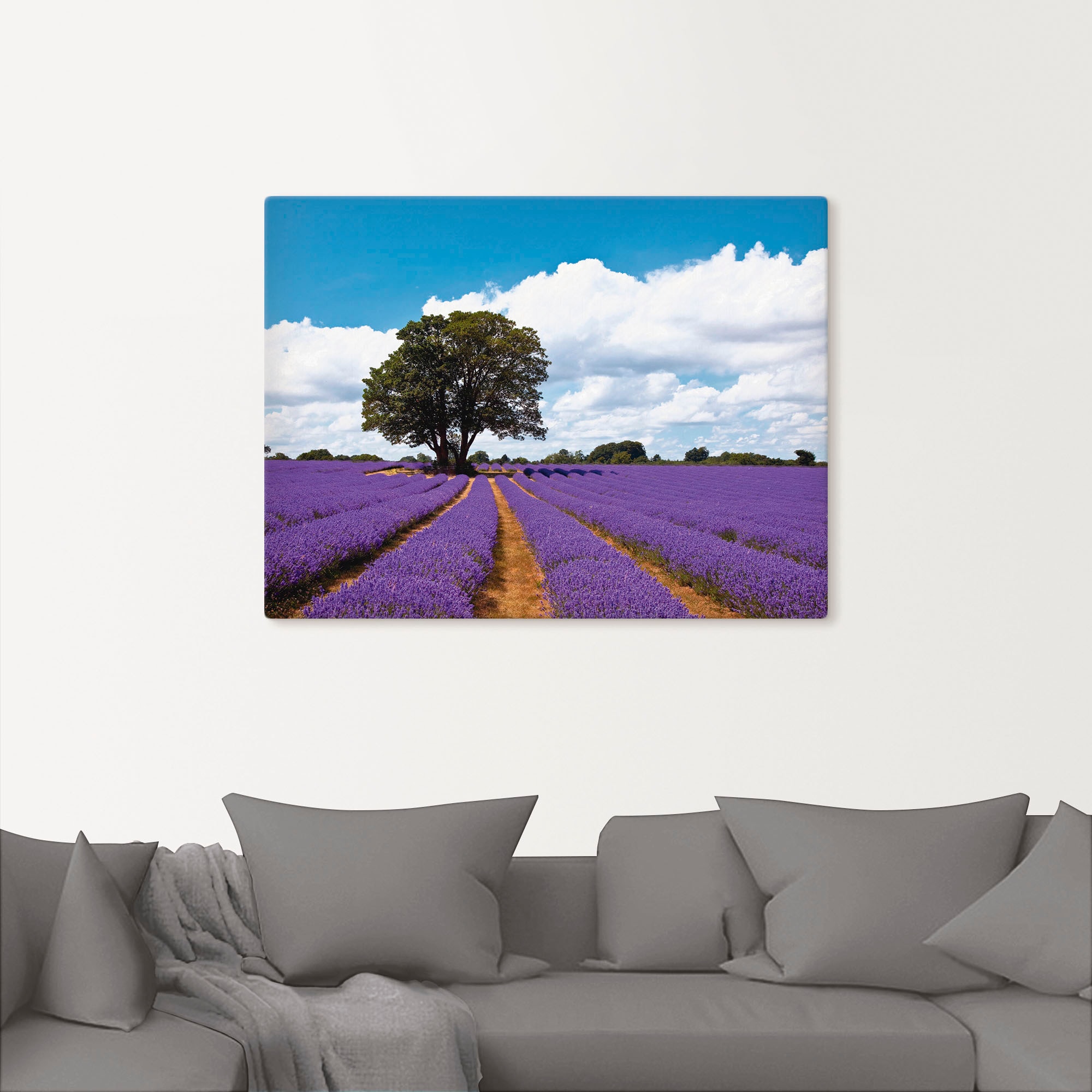 Artland Wandbild »Schönes Lavendelfeld im Sommer«, Felder, (1 St.), als Alubild, Outdoorbild, Leinwandbild in verschied. Größen