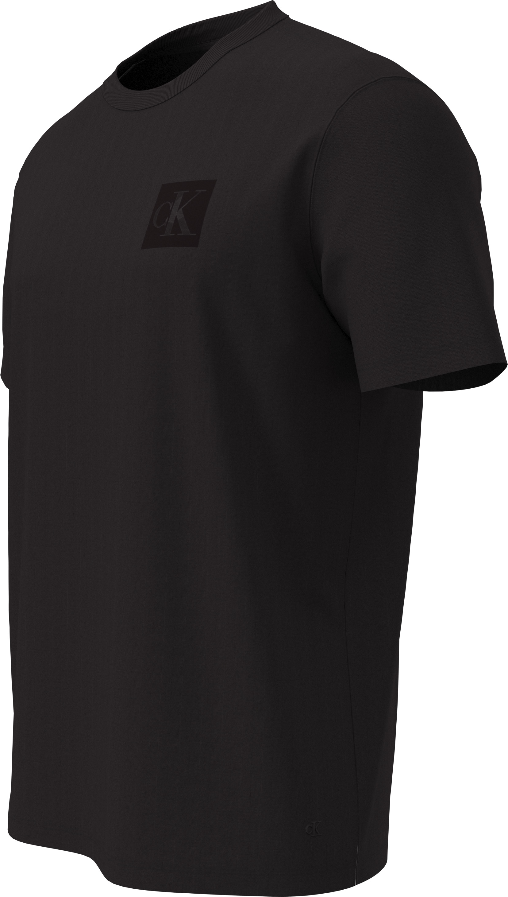 Calvin Klein Jeans T-Shirt »SS GRDNT MNGRM E LG«, Mit Rundhalsausschnitt