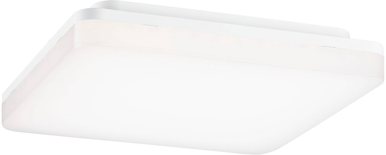 Paulmann LED Deckenleuchte »Cela«, 1 flammig günstig online kaufen