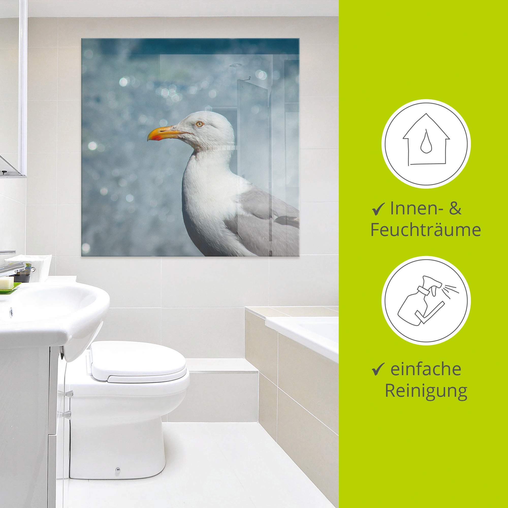 Artland Glasbild »Möwe an der Nordseeküste«, Vögel, (1 St.), in verschiedenen Größen