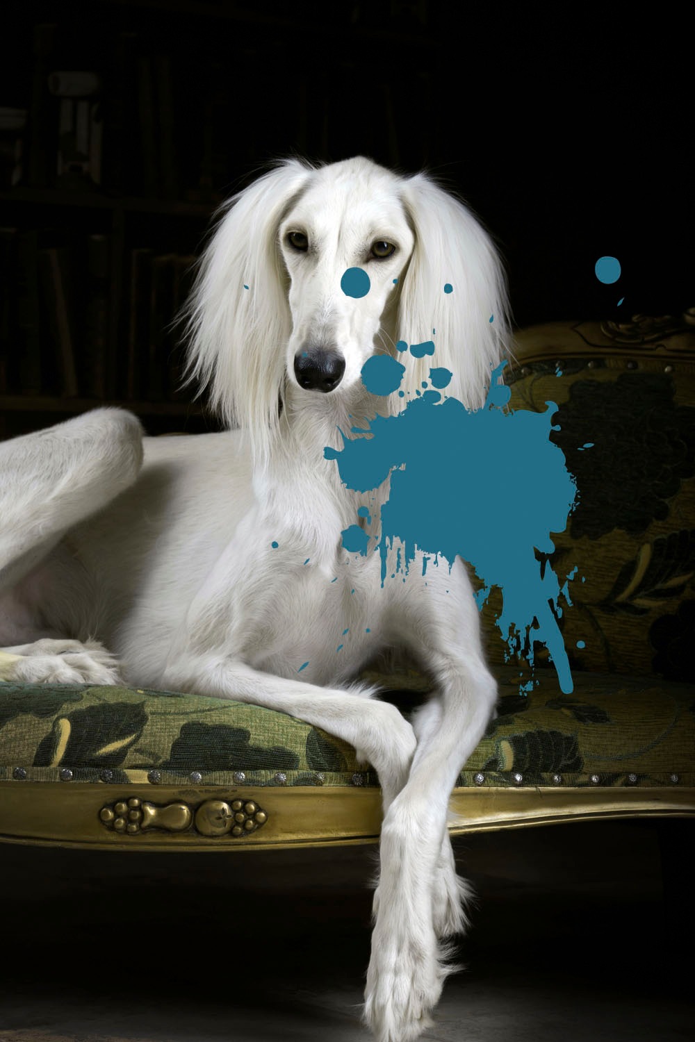 queence Acrylglasbild »Hund mit Farbklecks« Formen   Gemälde   Haustiere günstig online kaufen