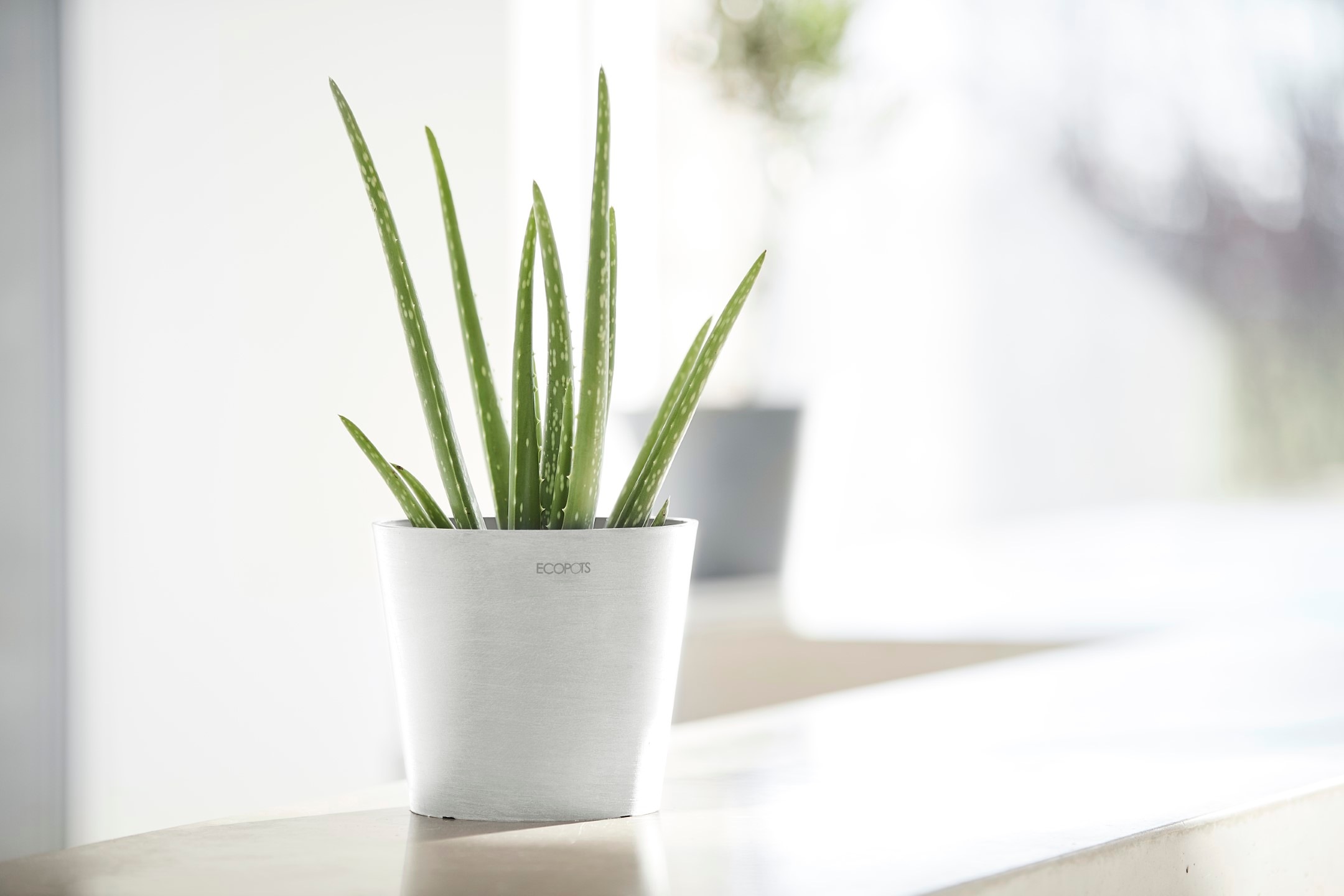 ECOPOTS Blumentopf »Amsterdam Mini 17 Weiß« für den Innenbereich