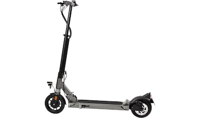 E-Scooter »Speed Deluxe 7.8-350 ABE«, 20 km/h, 25 km