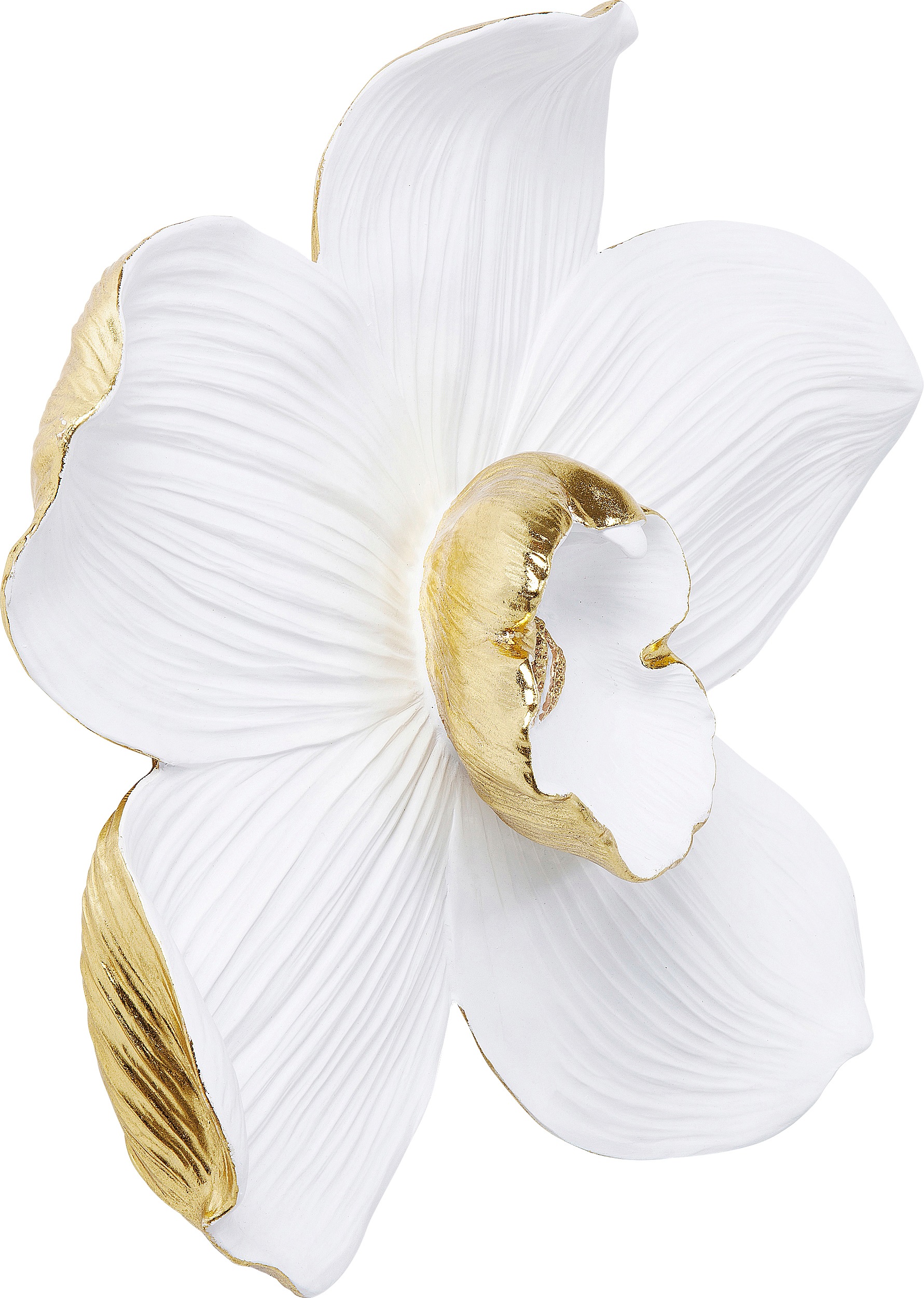 Kare Design Wanddekoobjekt »Wandschmuck Orchid Weiß 54cm« günstig online kaufen