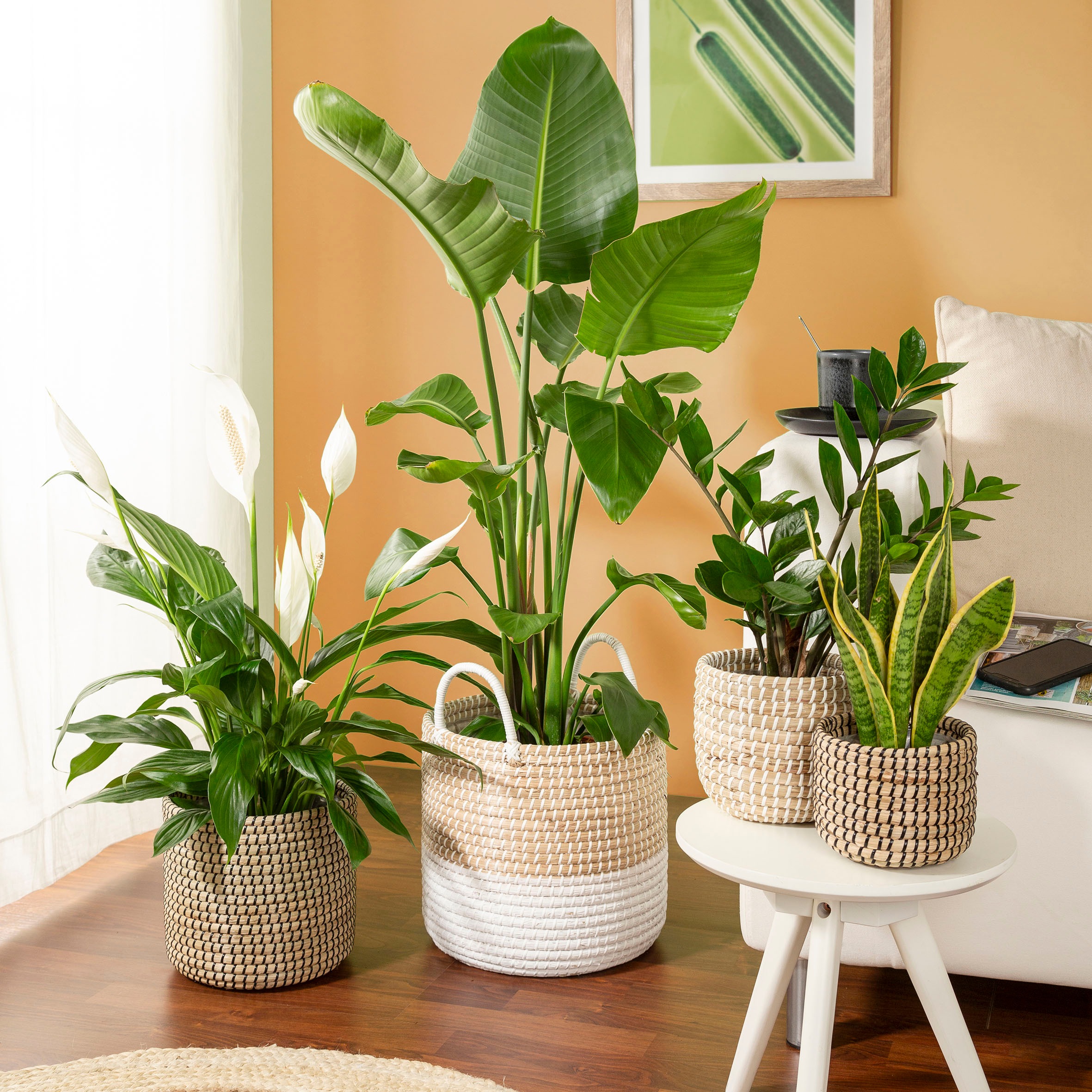 Scheurich Blumentopf »white 22/513«