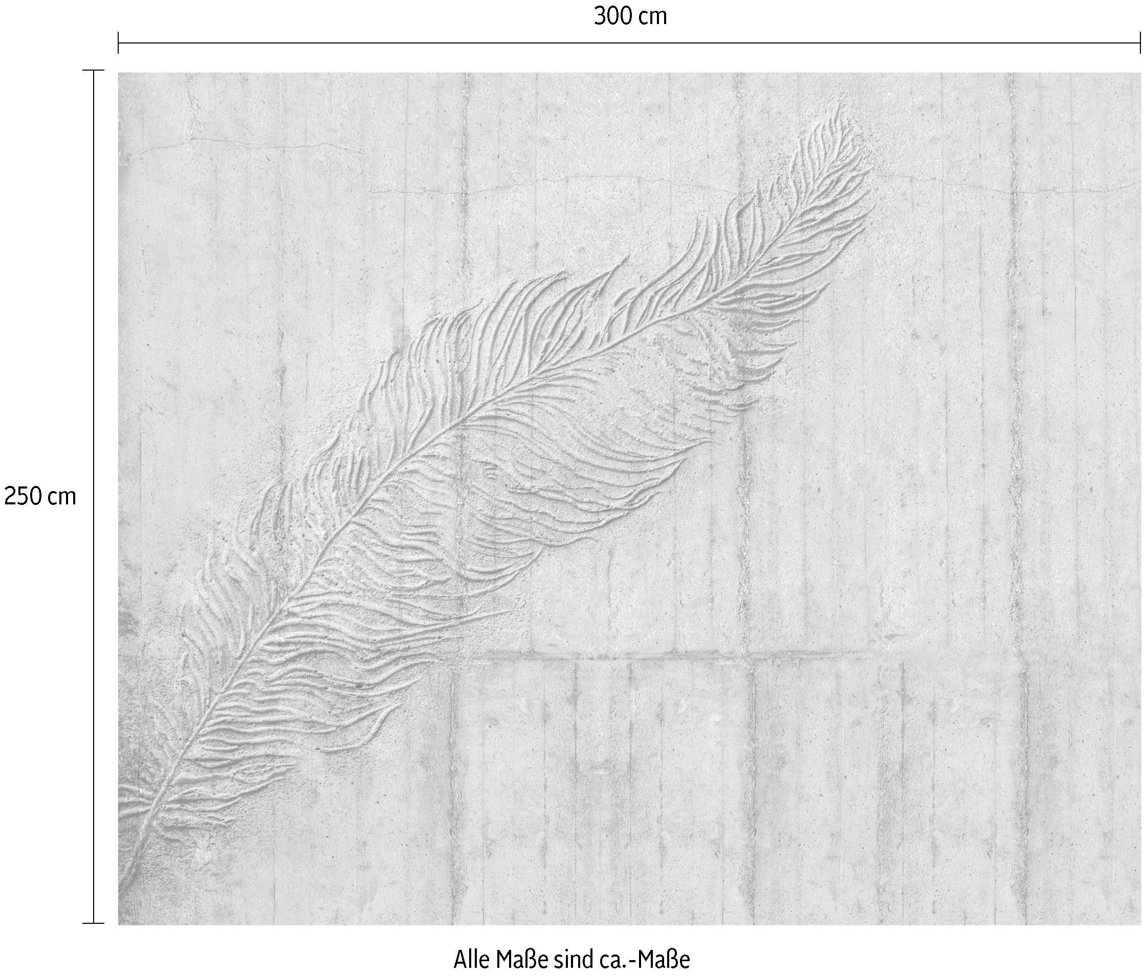 Komar Vliestapete »Digitaldruck Vlies - Betonfeder - Größe 300 x 250 cm«, bedruckt, Wohnzimmer, Schlafzimmer