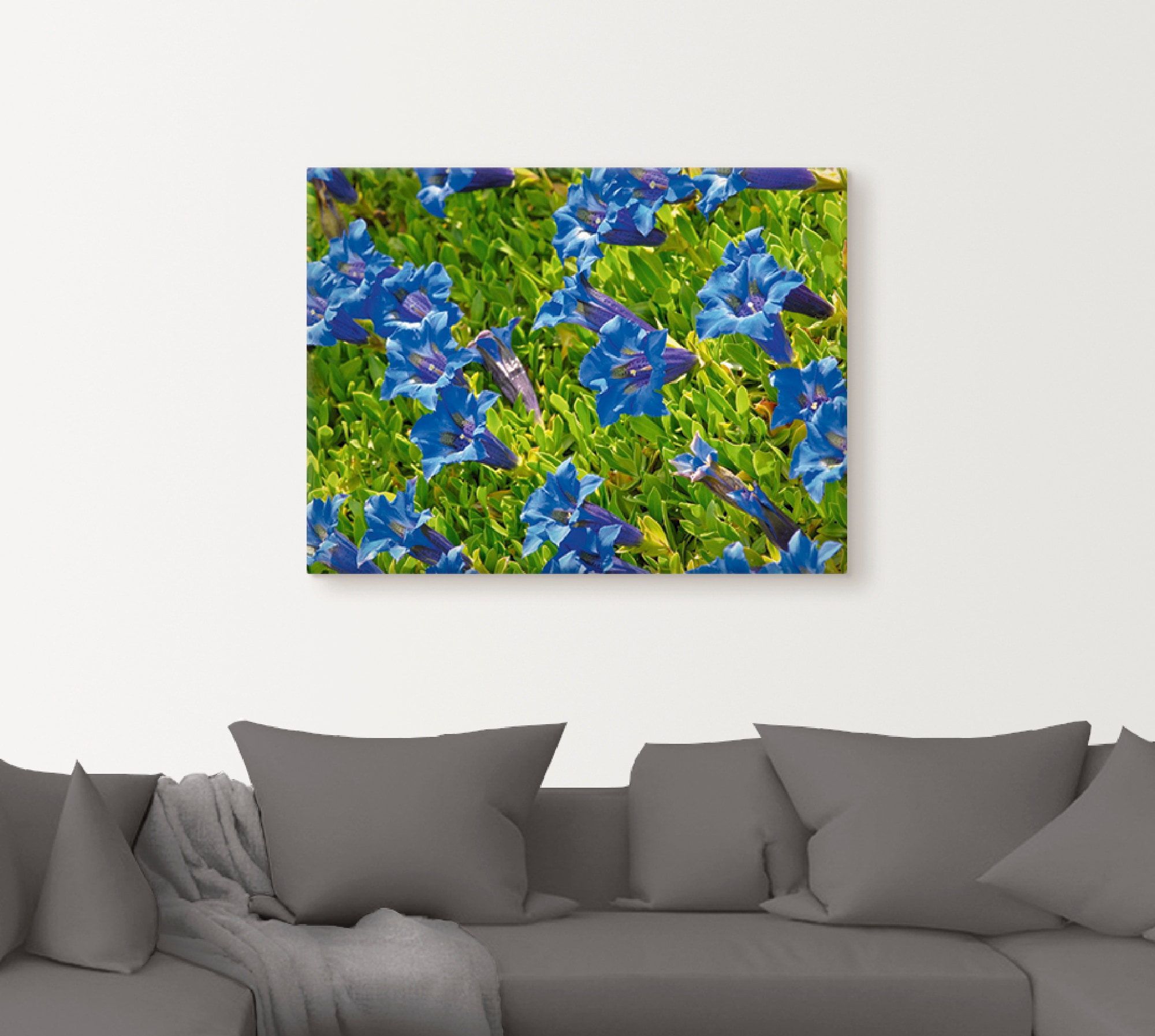 Artland Wandbild »Enzian« Blumenwiese 1 Stk. tlg. als Leinwandbild, Poster in verschied. Größen