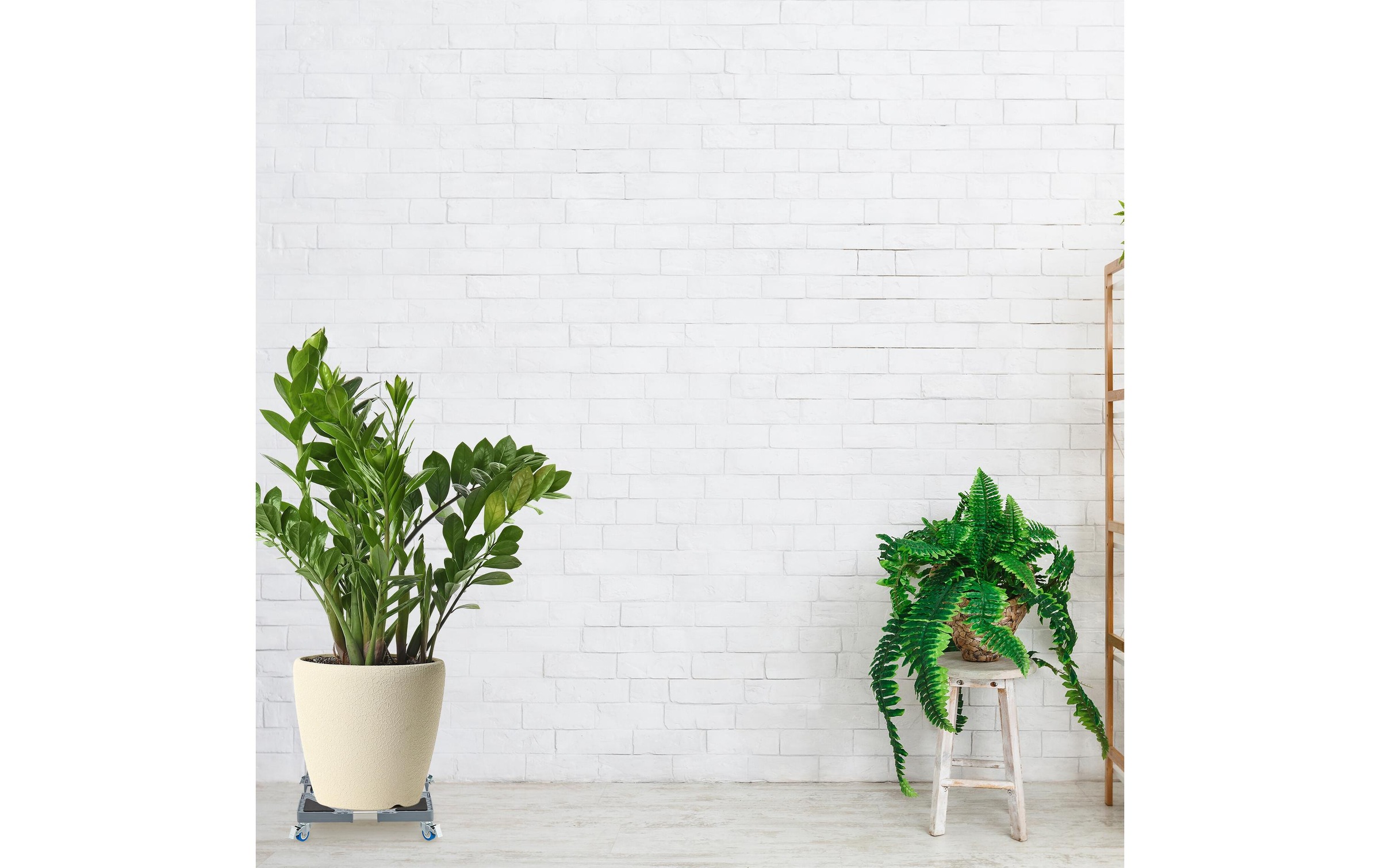 relaxdays Blumentopfuntersetzer »Pflanzenroller«