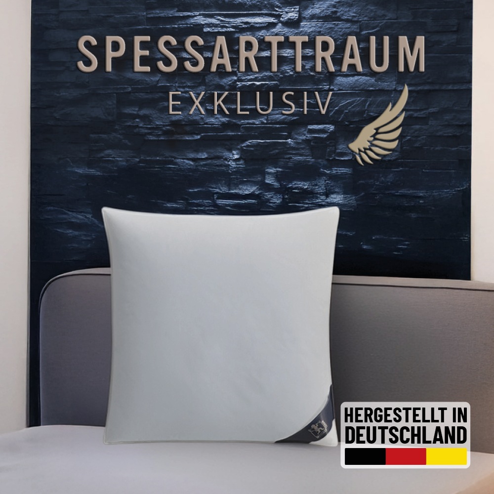 SPESSARTTRAUM 3-Kammer-Kopfkissen »Exklusiv«, Füllung: 90% Daunen / 10% Fed günstig online kaufen