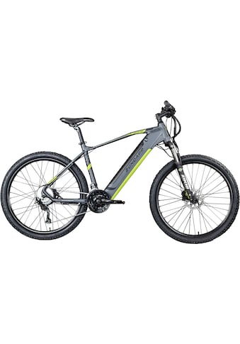 E-Bike »Z808«, 24 Gang, Heckmotor 250 W