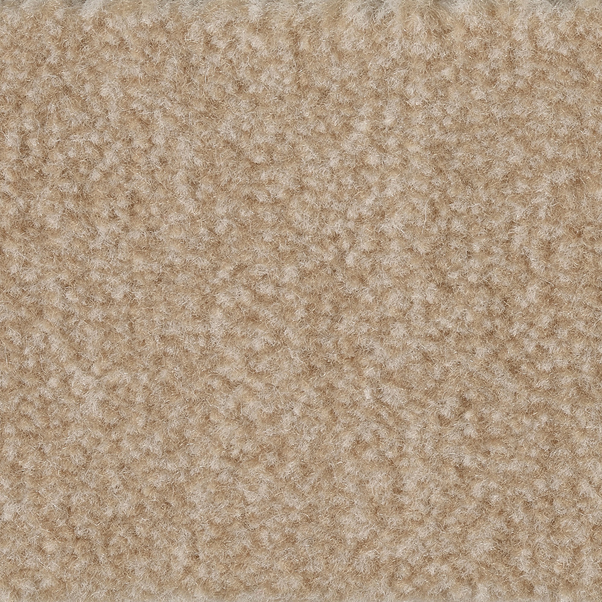 Bodenmeister Teppichboden »Jupiter, Velours - meliert, Made in Belgium«, re günstig online kaufen