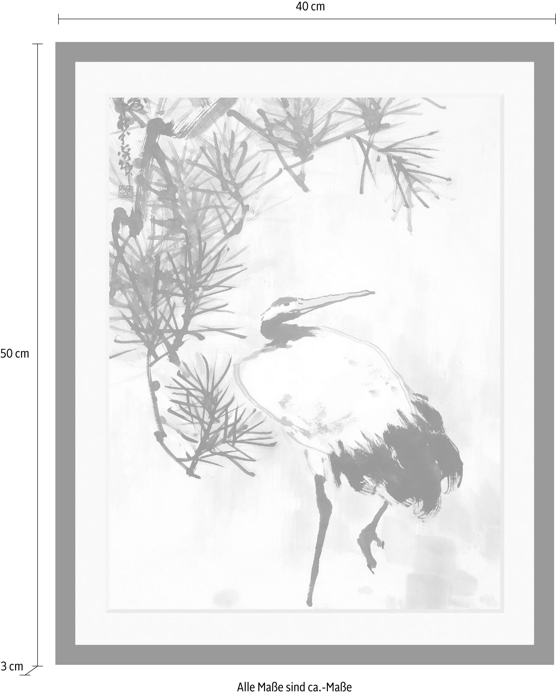 queence Bild »Kranich«, Tiere-Vögel-Vogelbilder-Pflanzen-Pflanzenbilder-Blumen-Blumenbilder, HD Premium Poster-Druck inkl. Holzrahmen