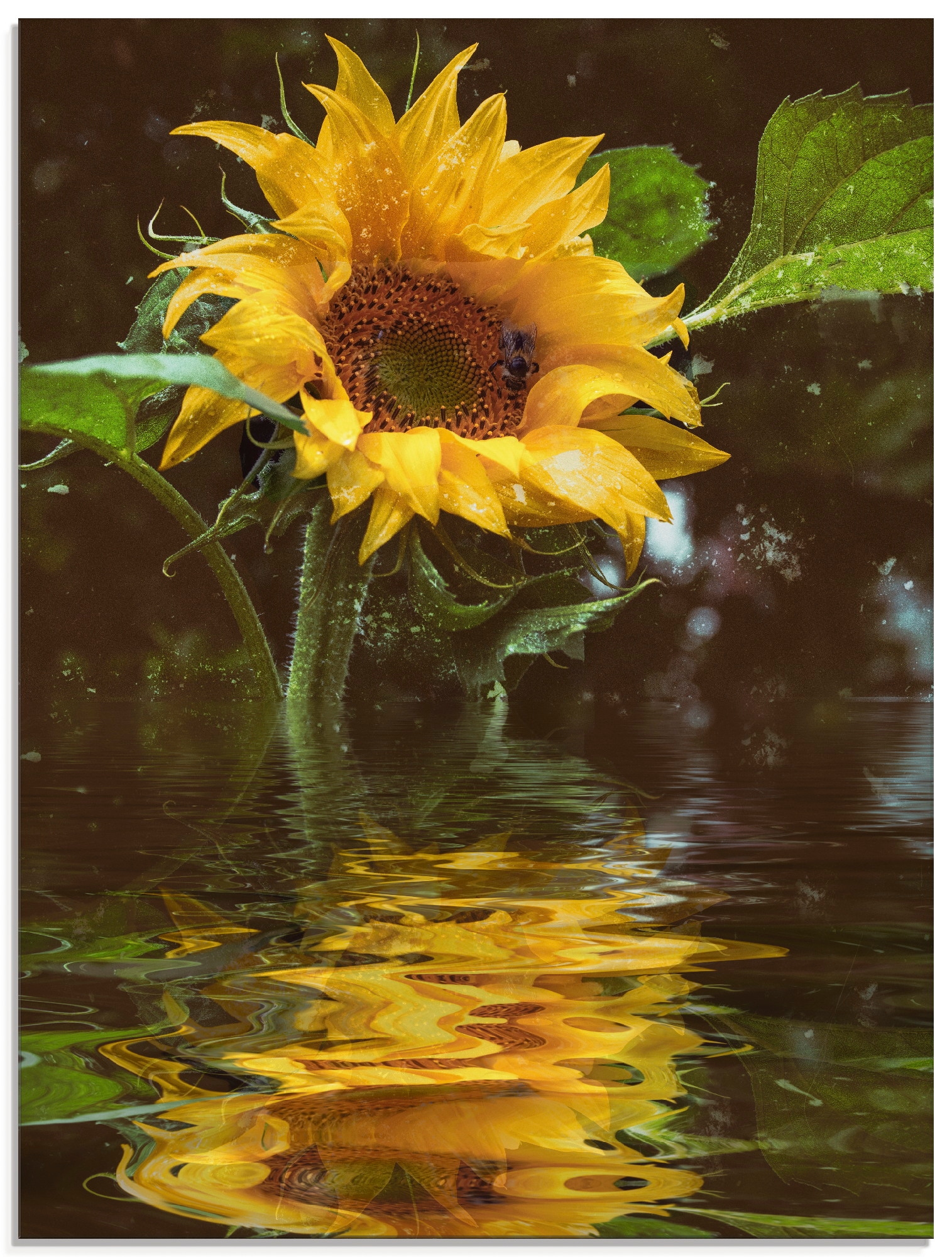 Artland Glasbild »Sonnenblume mit Wasserspiegelung«, Blumen, (1 St.), in ve günstig online kaufen