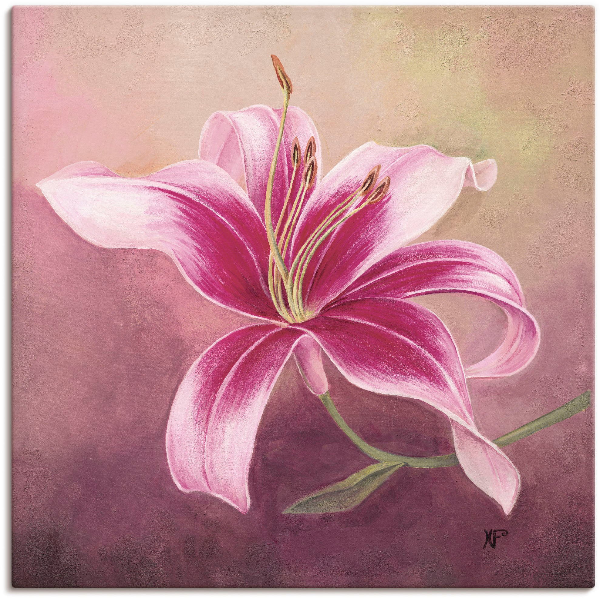 Artland Wandbild »Frühe Lilie« 1 Stk. tlg. als Leinwandbild, Poster in vers günstig online kaufen