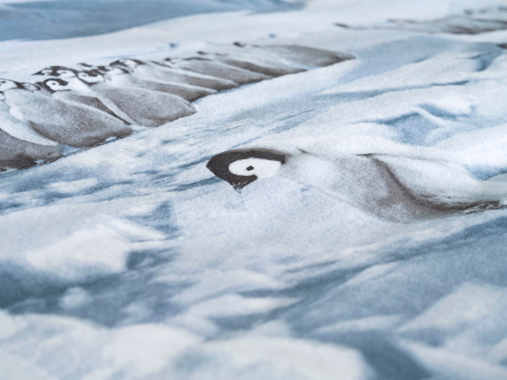 ZO HOME Bettwäsche »Pinguini« 1 tlg. Bettwäsche aus 100% Baumwolle, hochwertige Flanell