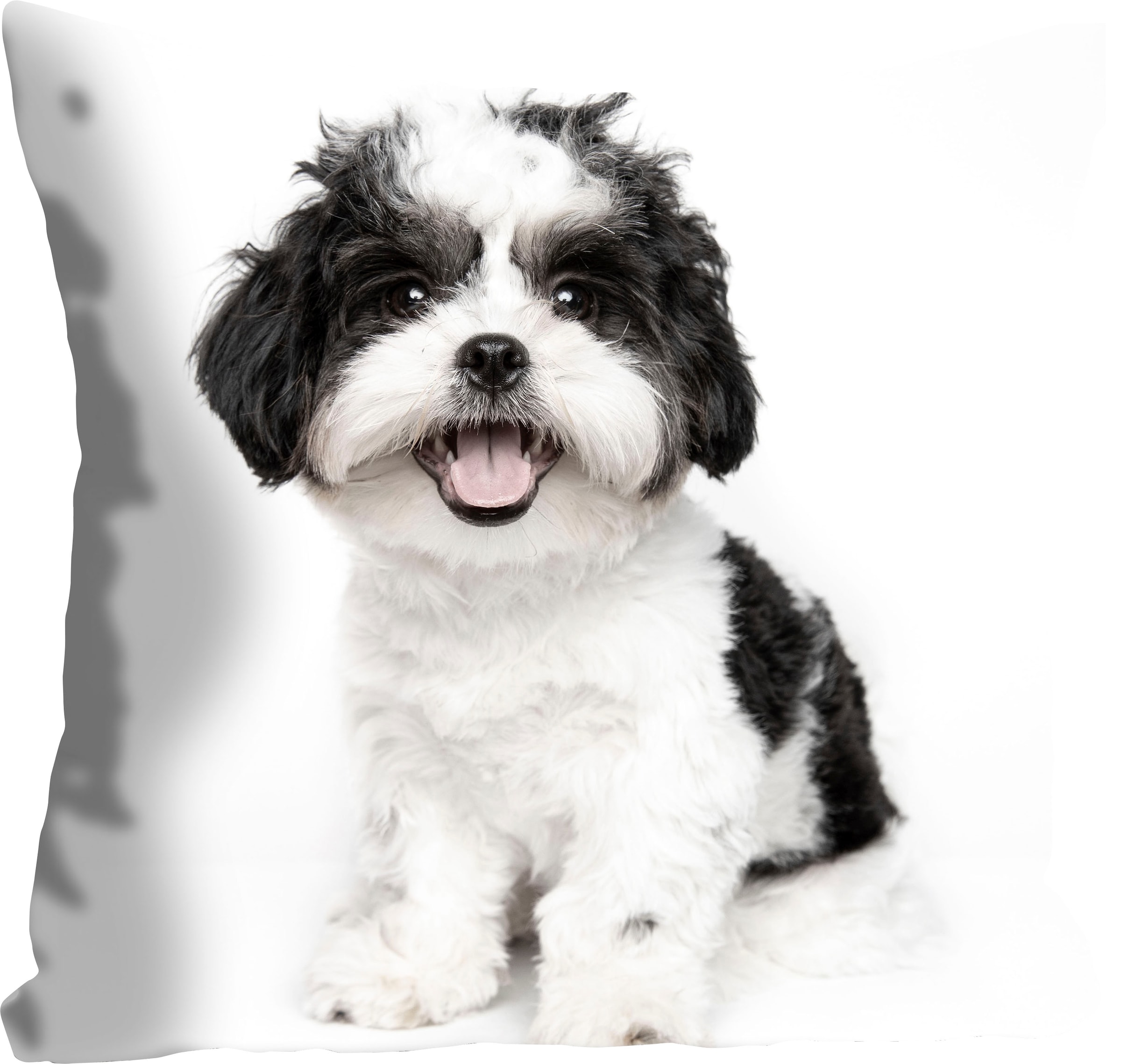queence Dekokissen »Malteser«, mit einem Malteser Hund