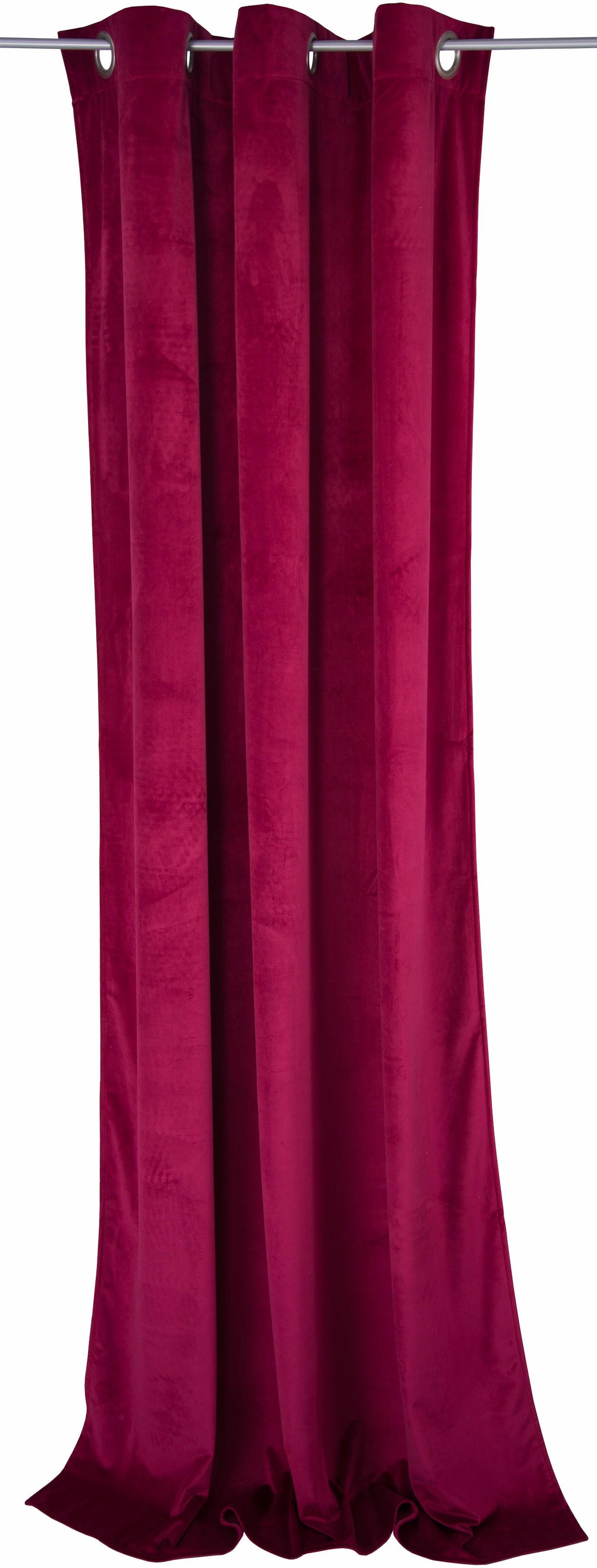 TOM TAILOR HOME Vorhang »FRENCH VELVET«, (1 St.), HxB: 245x135 günstig online kaufen
