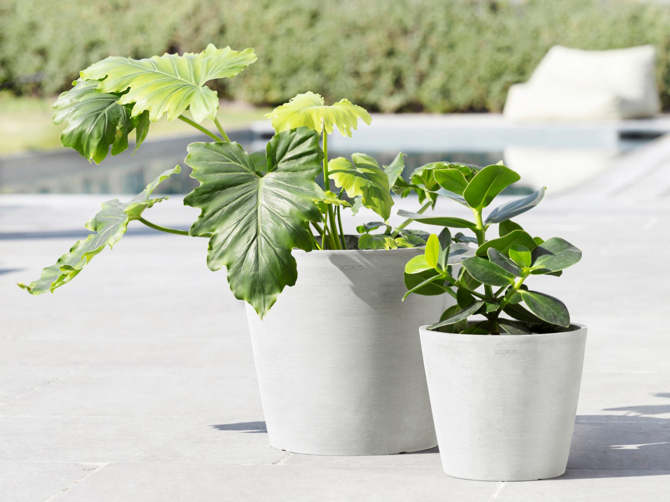 ECOPOTS Blumentopf »Amsterdam 30 Weiß«, für innen und außen: frostsicher, bruchsicher und lichtbeständig
