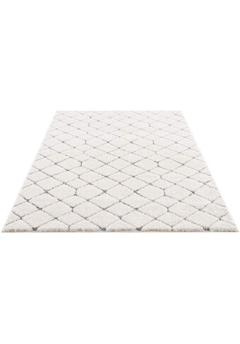 Carpet City Hochflor-Teppich »Focus«, rechteckig, 20 mm Höhe, besonders weich,... kaufen