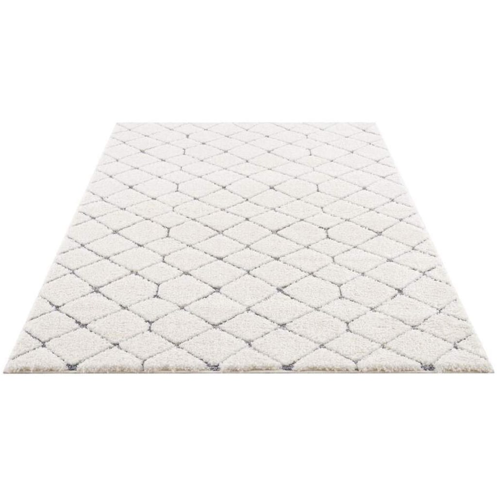 Carpet City Hochflor-Teppich »Focus 4499«, rechteckig