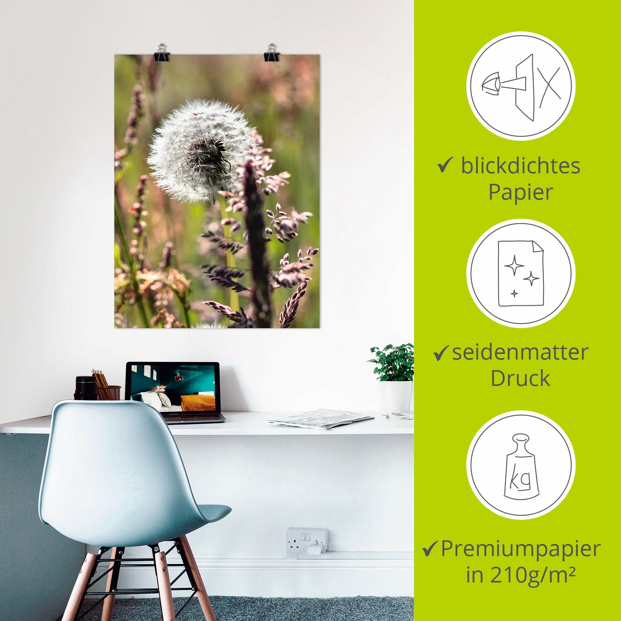 Artland Wandbild »Pusteblume III«, Blumen, (1 St.), als Leinwandbild, Poster in verschied. Größen