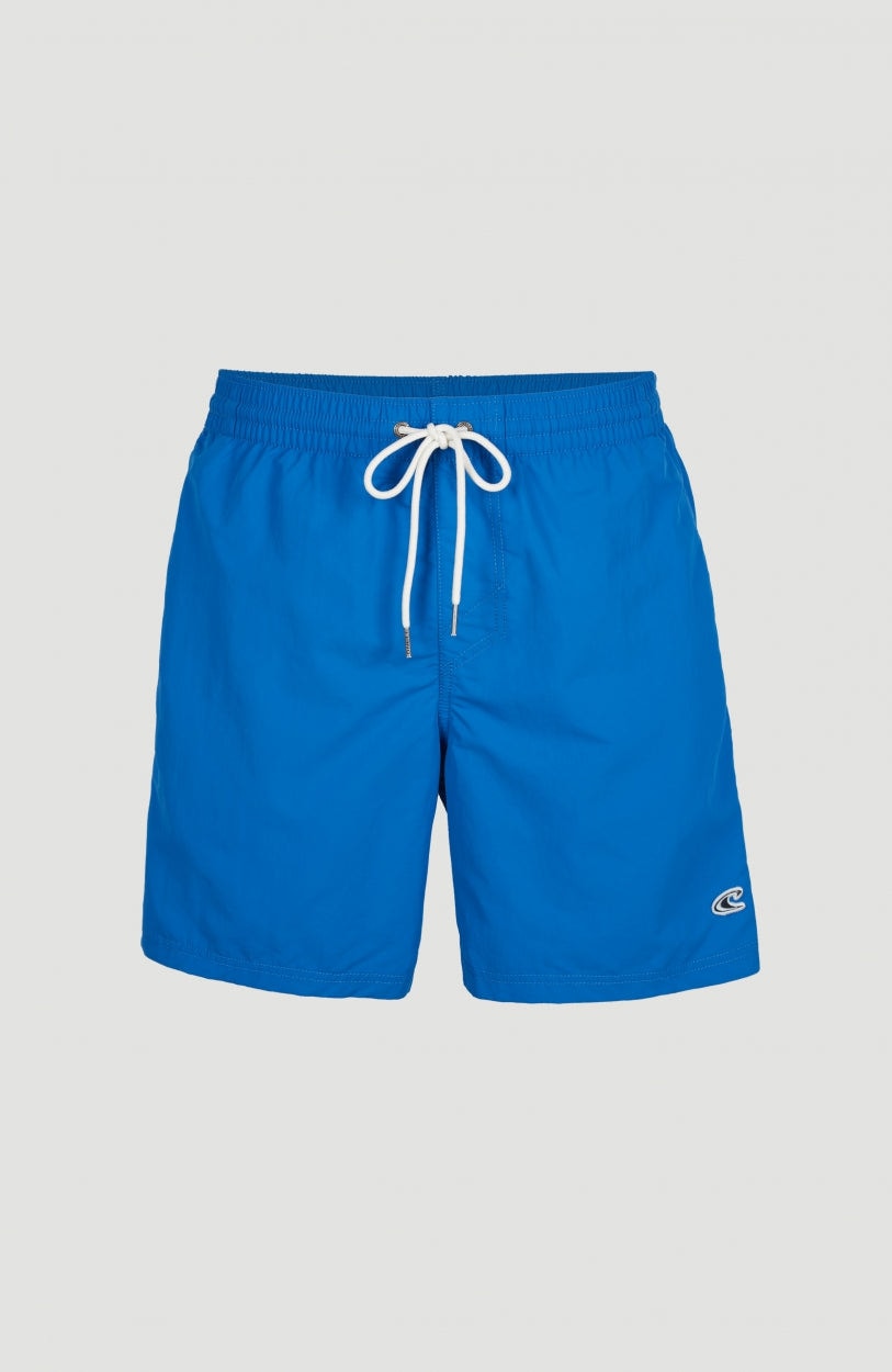 O'Neill Badeshorts »VERT SWIM SHORTS ESSENTIALS«