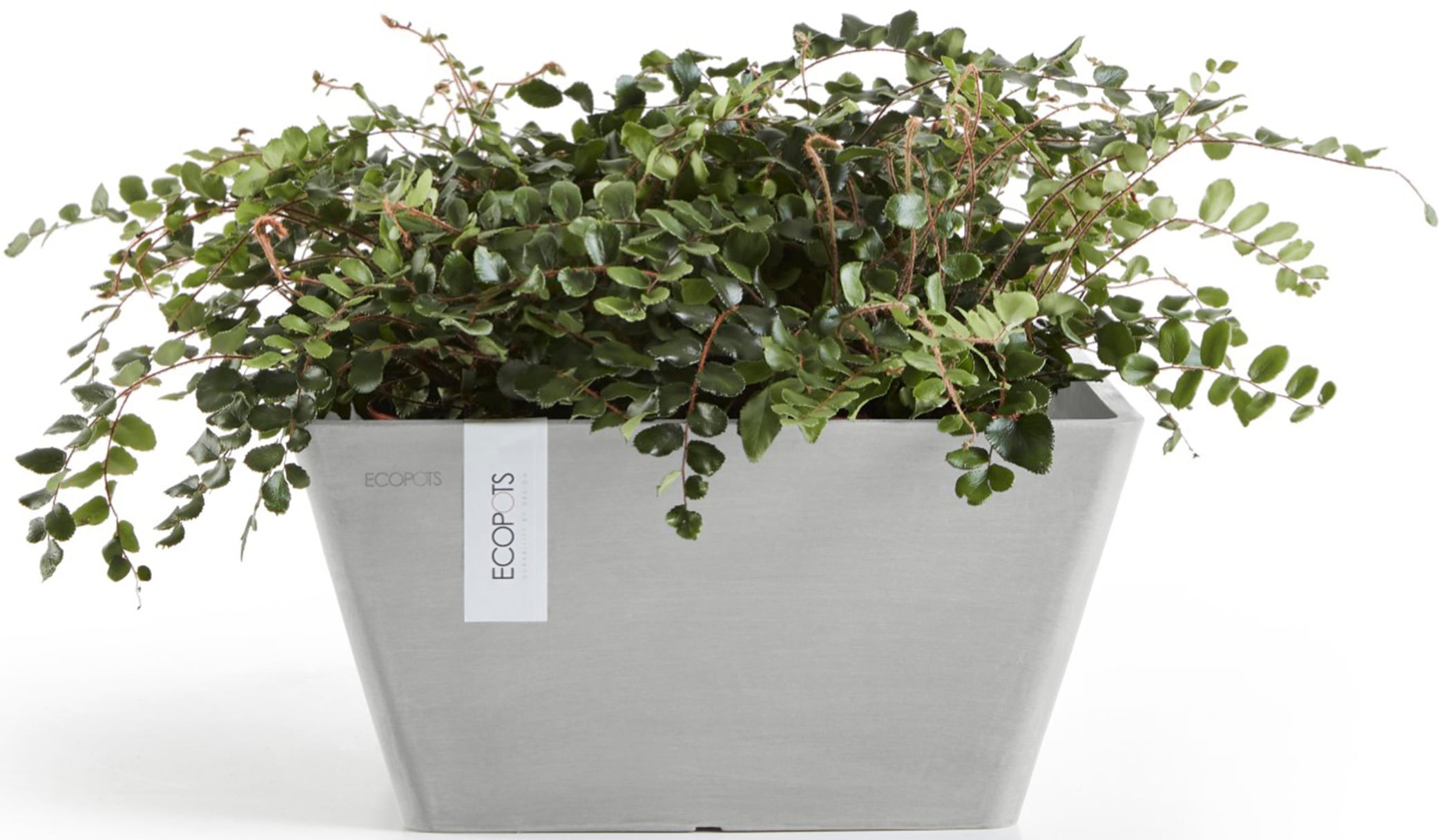 ECOPOTS Blumentopf »Berlin 40 Weißgrau«, für innen und außen: frostsicher, bruchsicher und lichtbeständig