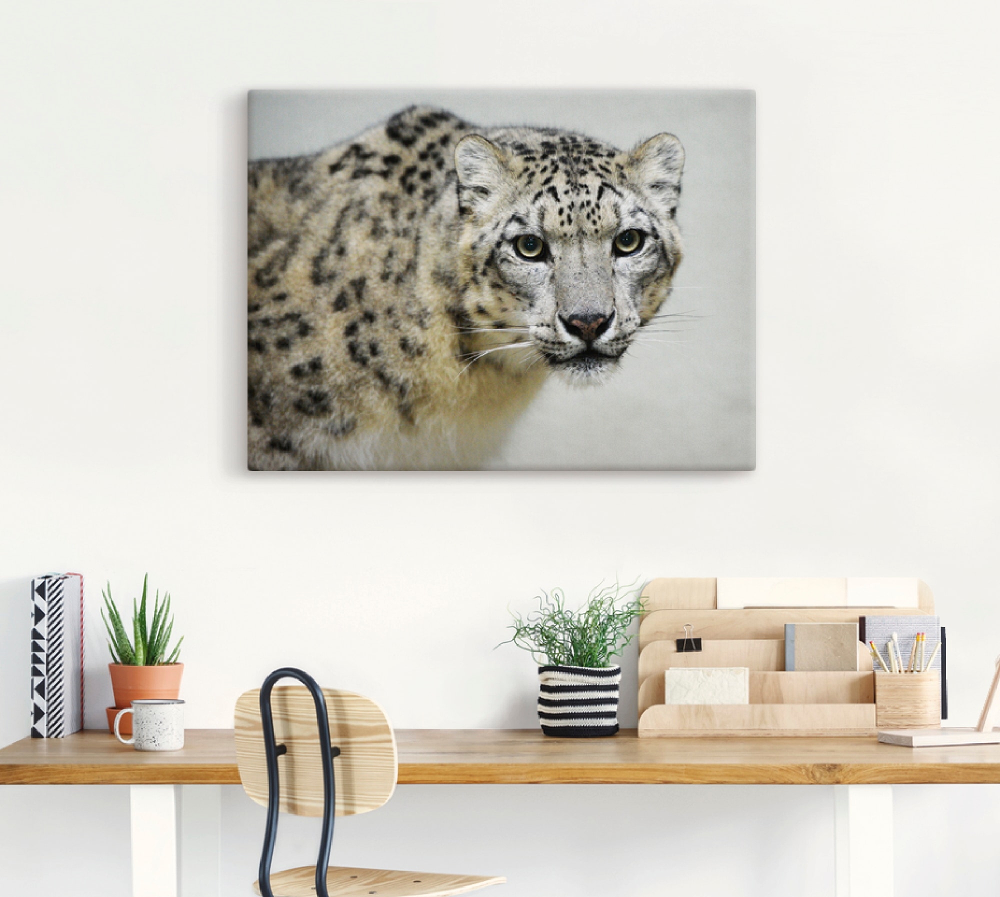 Artland Wandbild »Schneeleopard«, Wildtiere, (1 St.), als Alubild, Outdoorbild, Leinwandbild in verschied. Größen
