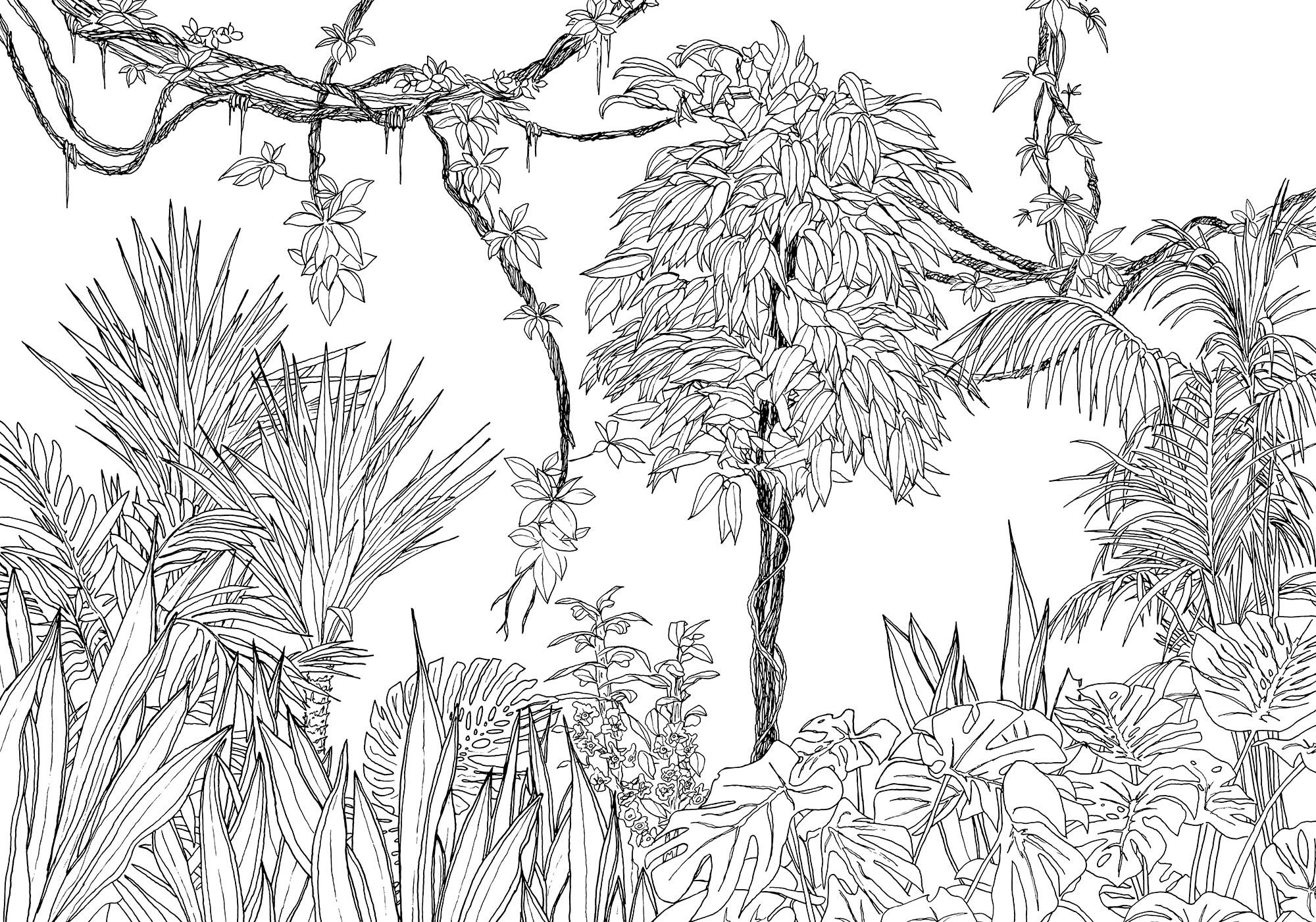 KOMAR Vliestapete »Digitaldruck Vlies - Blanca - Größe 400 x 280 cm« bedruckt glatt Wohnzimmer, Schlafzimmer schwarz/weiß B/L: 400 m m x 280 m m