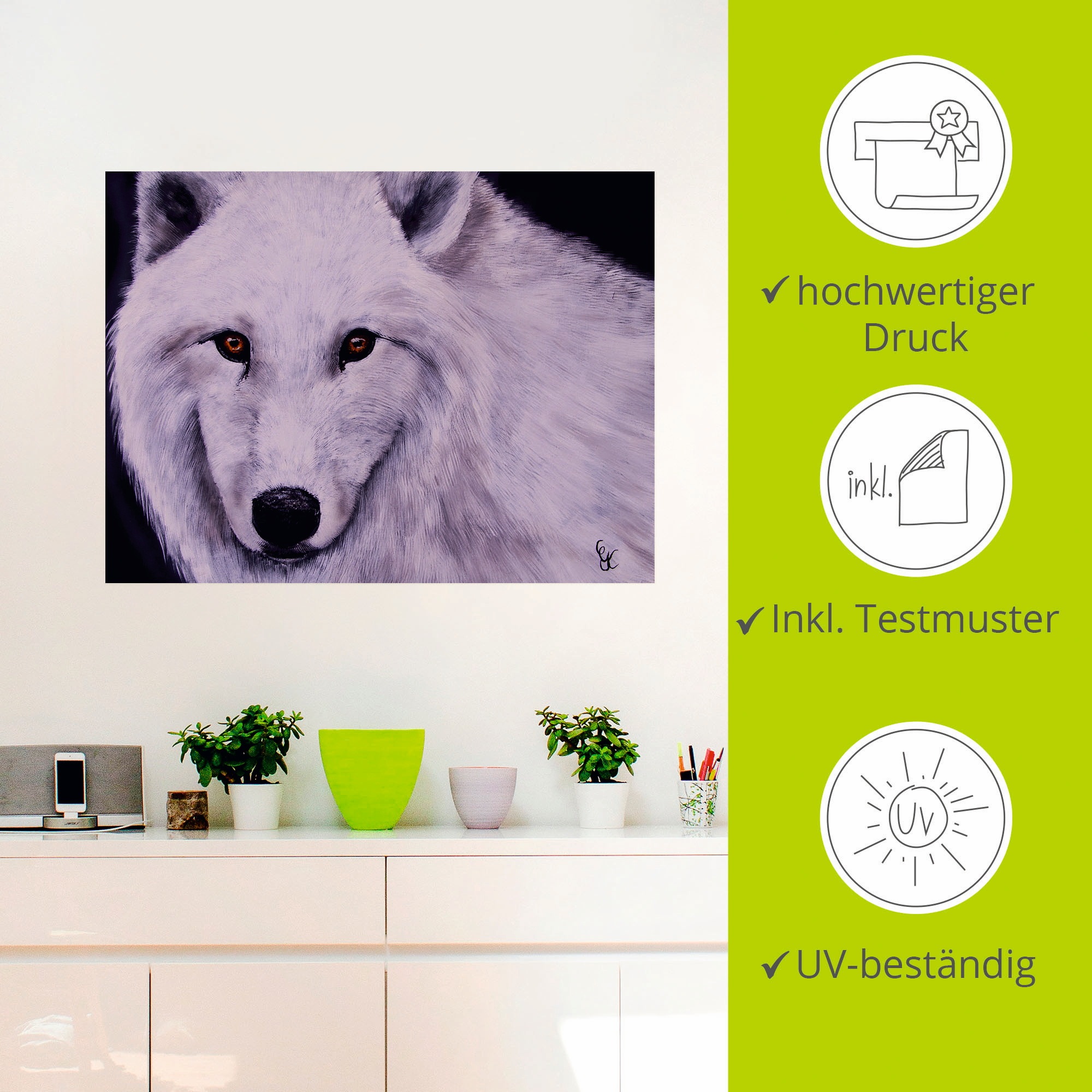 Artland Wandfolie »Weißer Wolf«, Wildtiere, (1 St.), selbstklebend