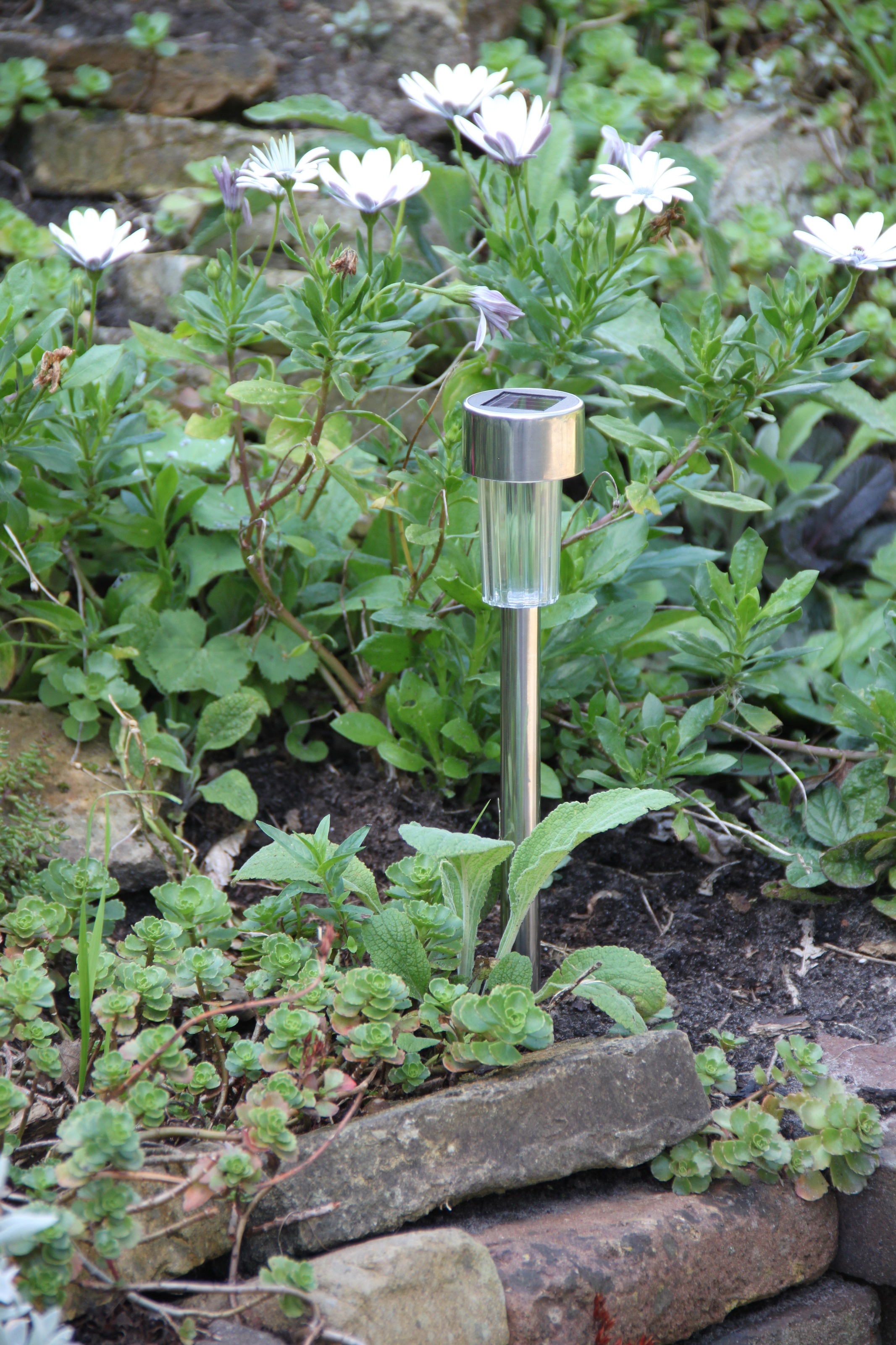 LUXFORM Gartenleuchte »Siena - Solar-Gartenlampe - 8 Stück - Silber«, Leuch günstig online kaufen